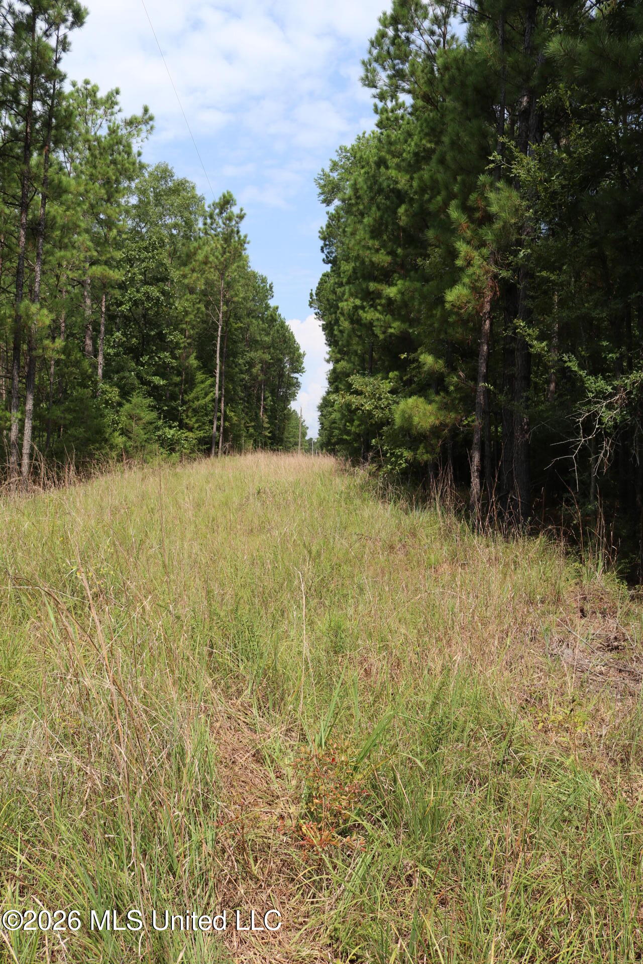 Sulphur Springs Road Property Photo 2