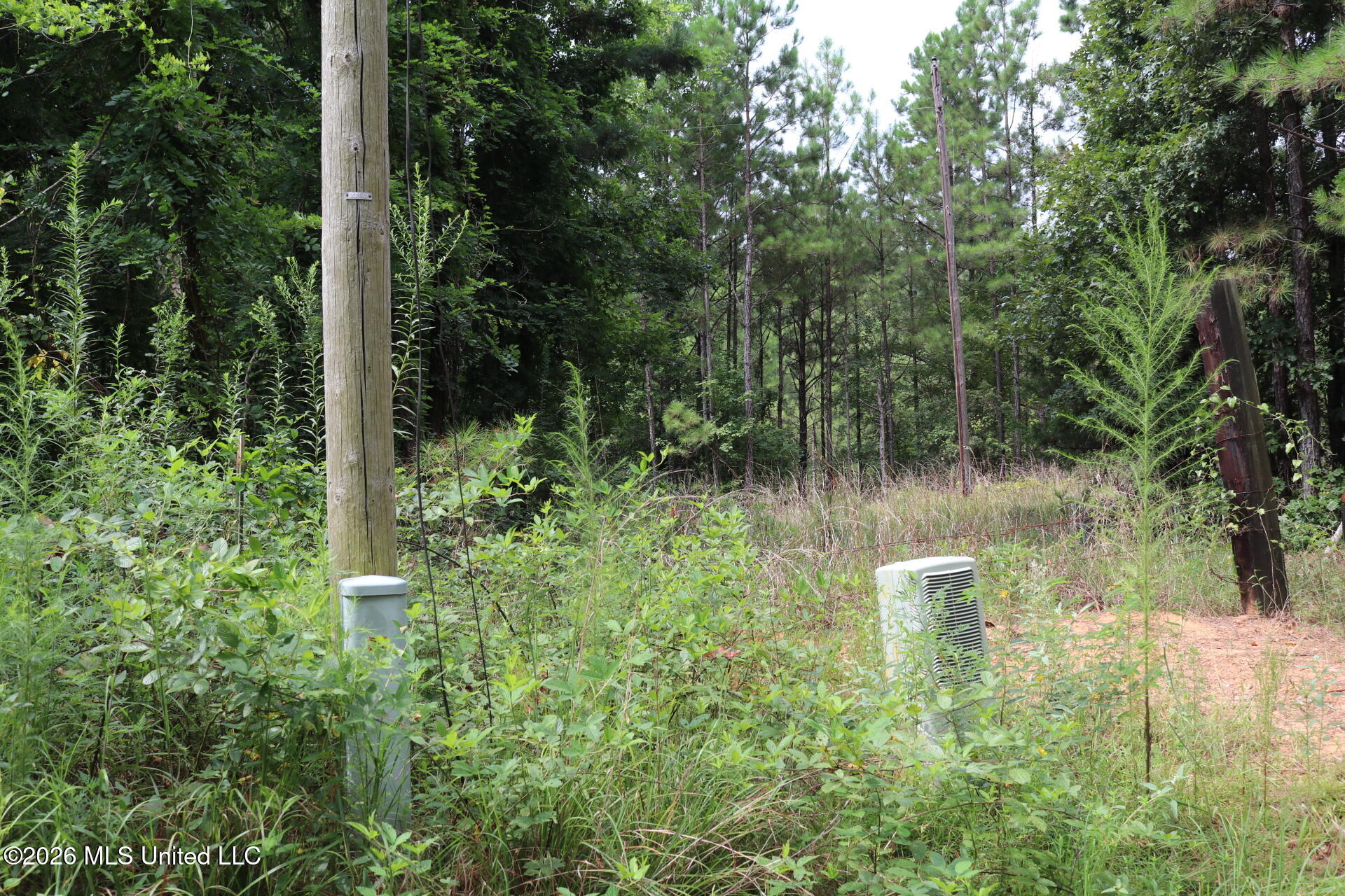 Sulphur Springs Road Property Photo 3