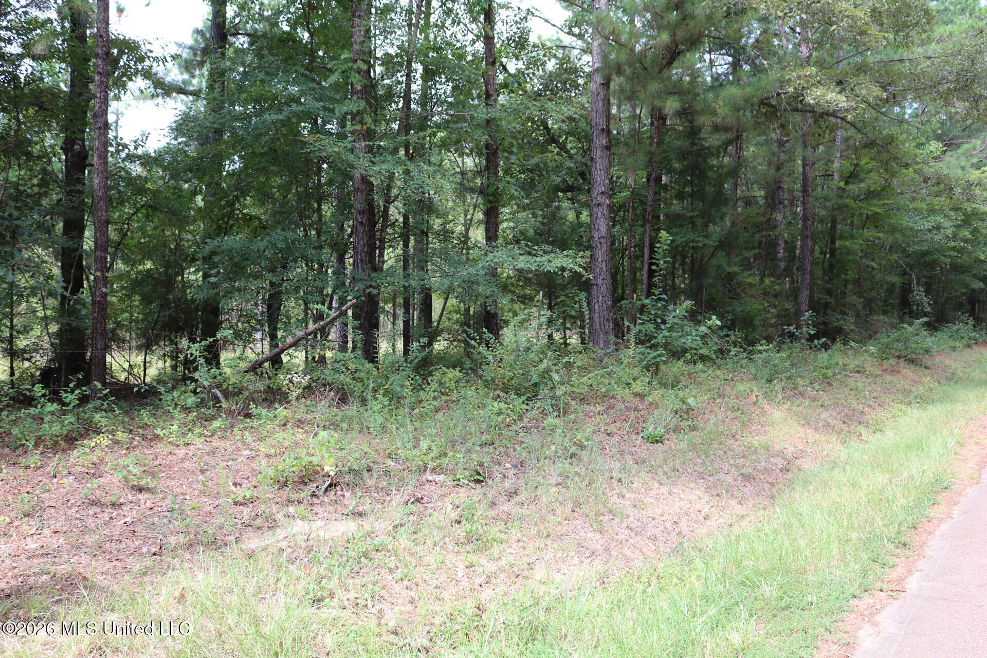 Sulphur Springs Road Property Photo 4