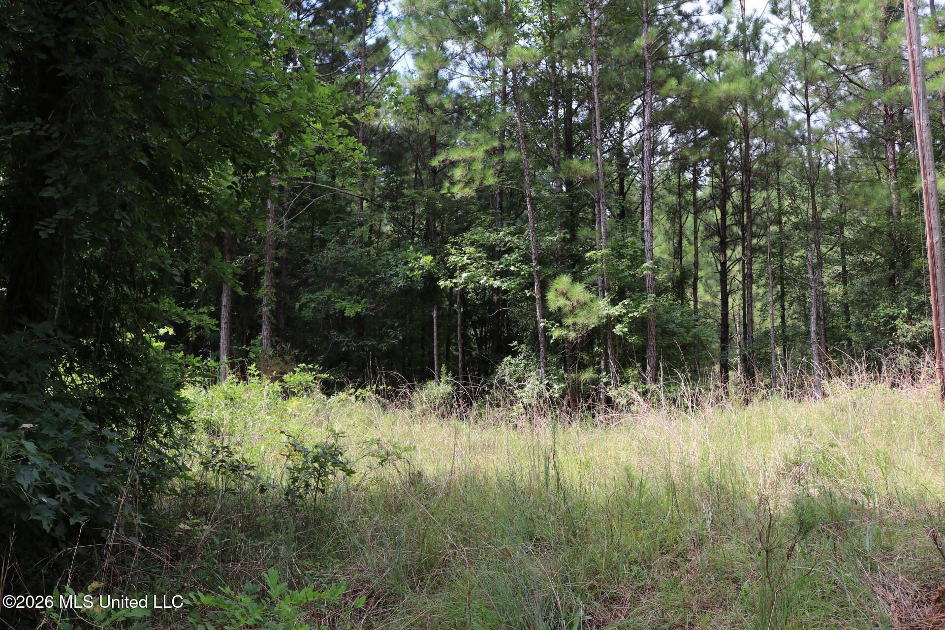 Sulphur Springs Road Property Photo 5