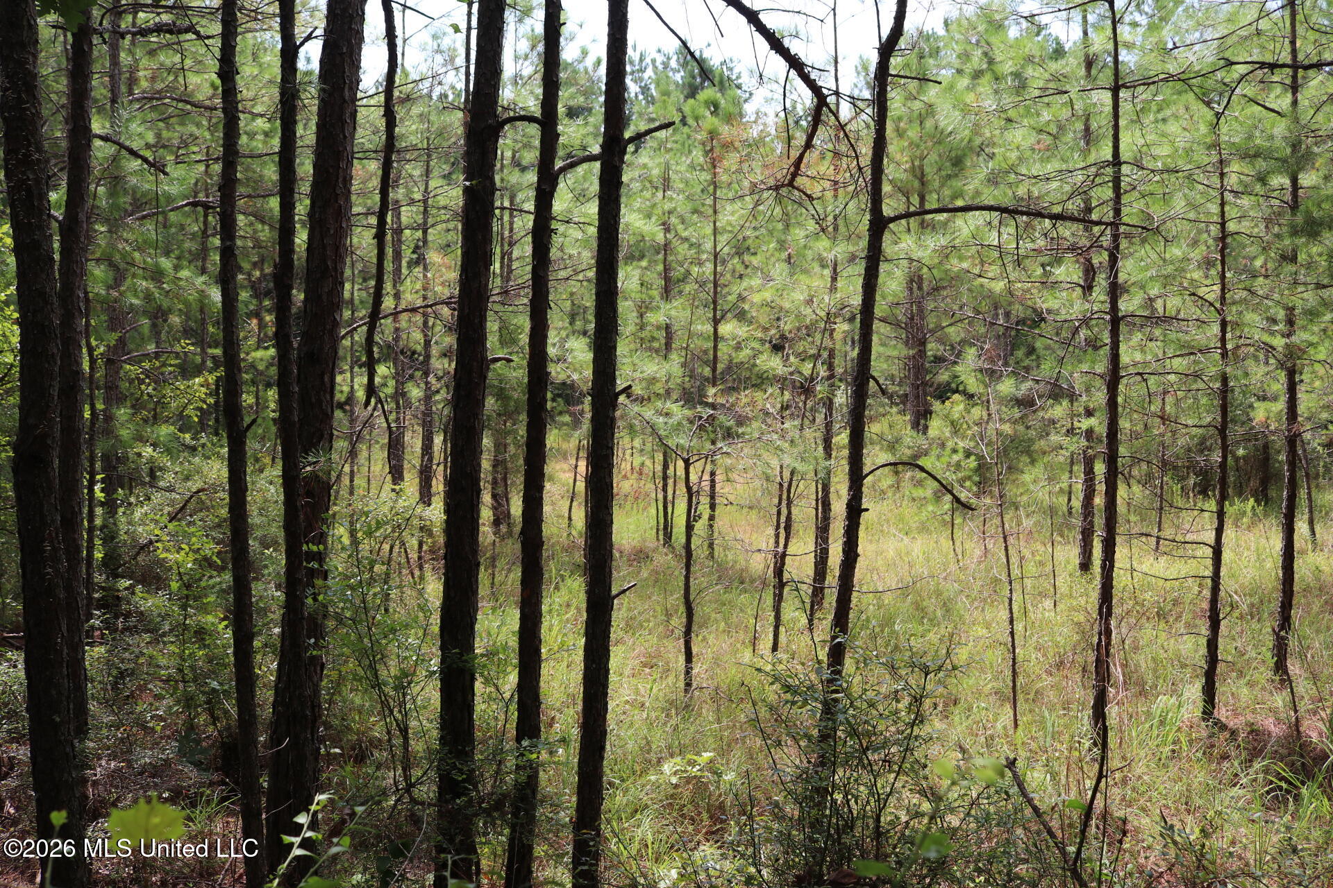 Sulphur Springs Road Property Photo 6