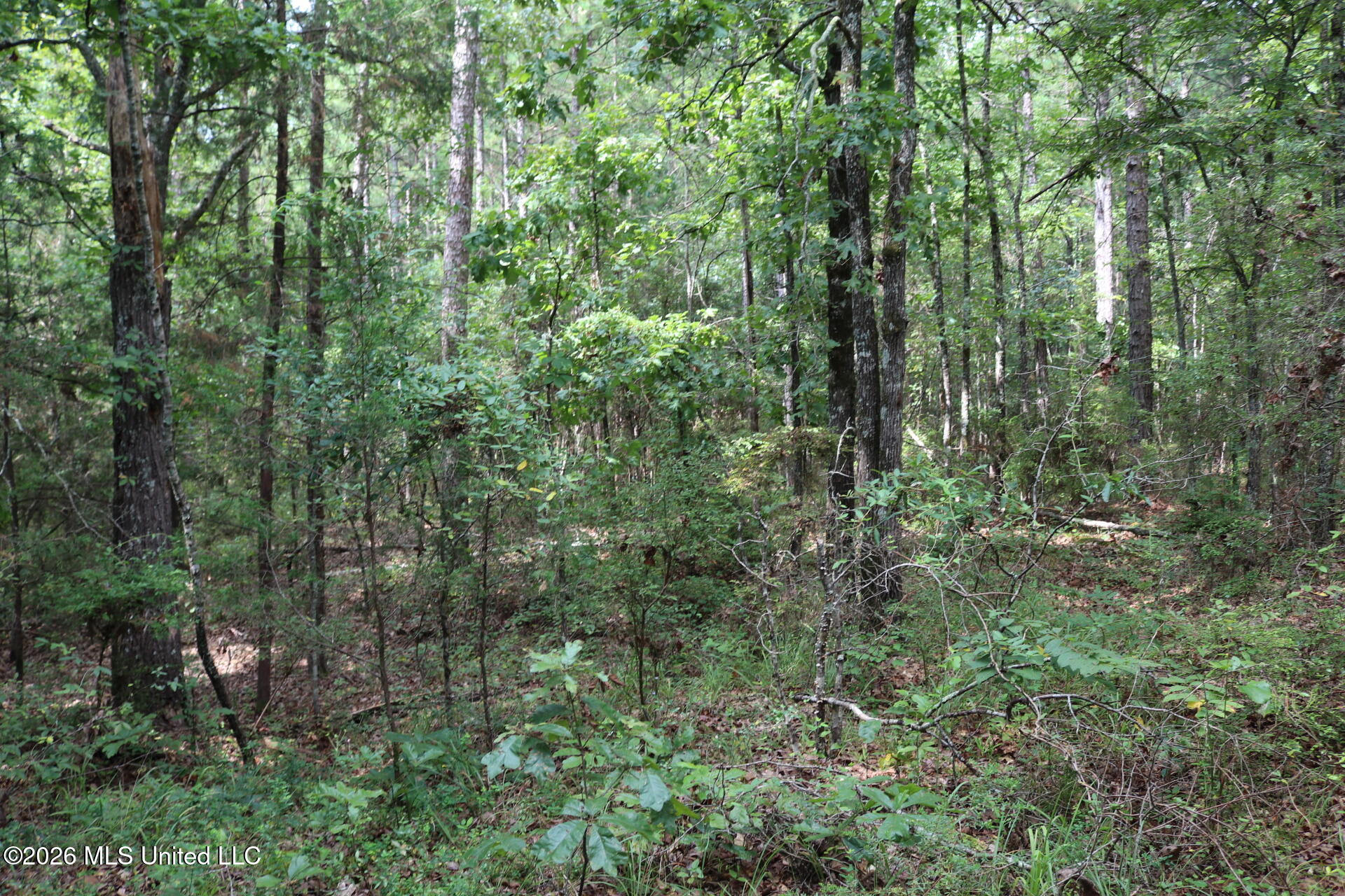 Sulphur Springs Road Property Photo 7