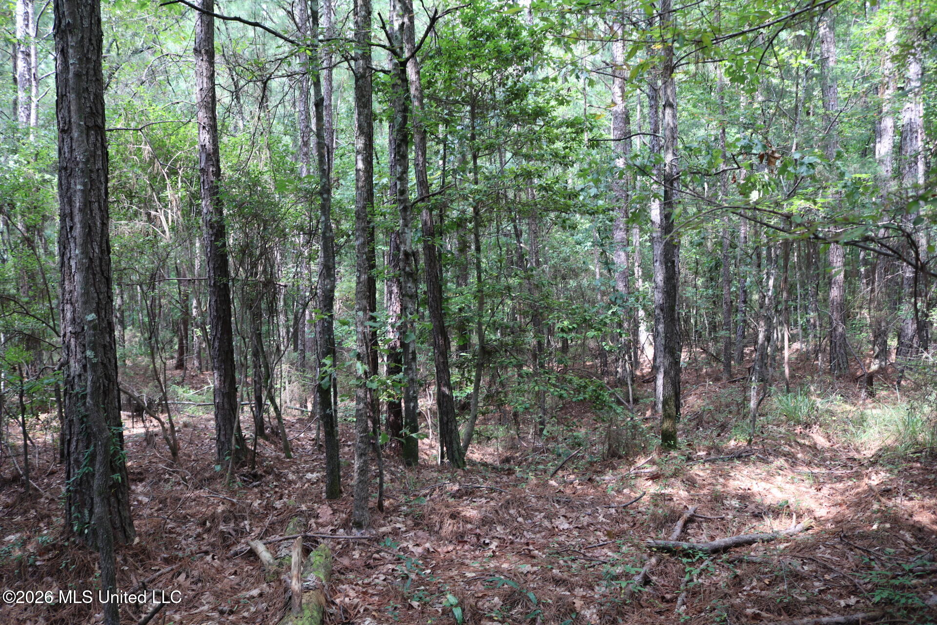 Sulphur Springs Road Property Photo 8