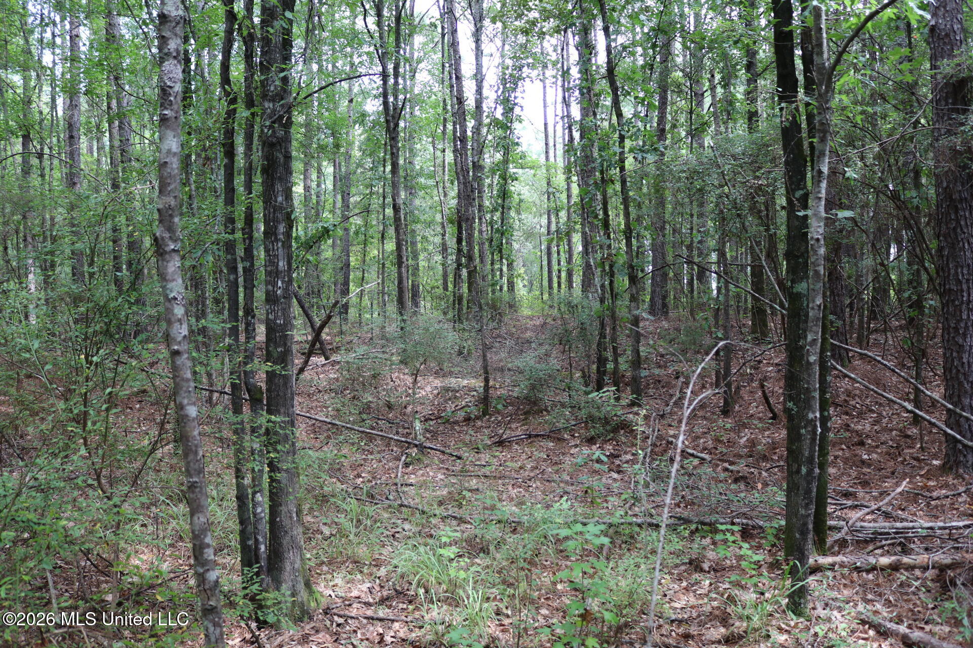 Sulphur Springs Road Property Photo 9