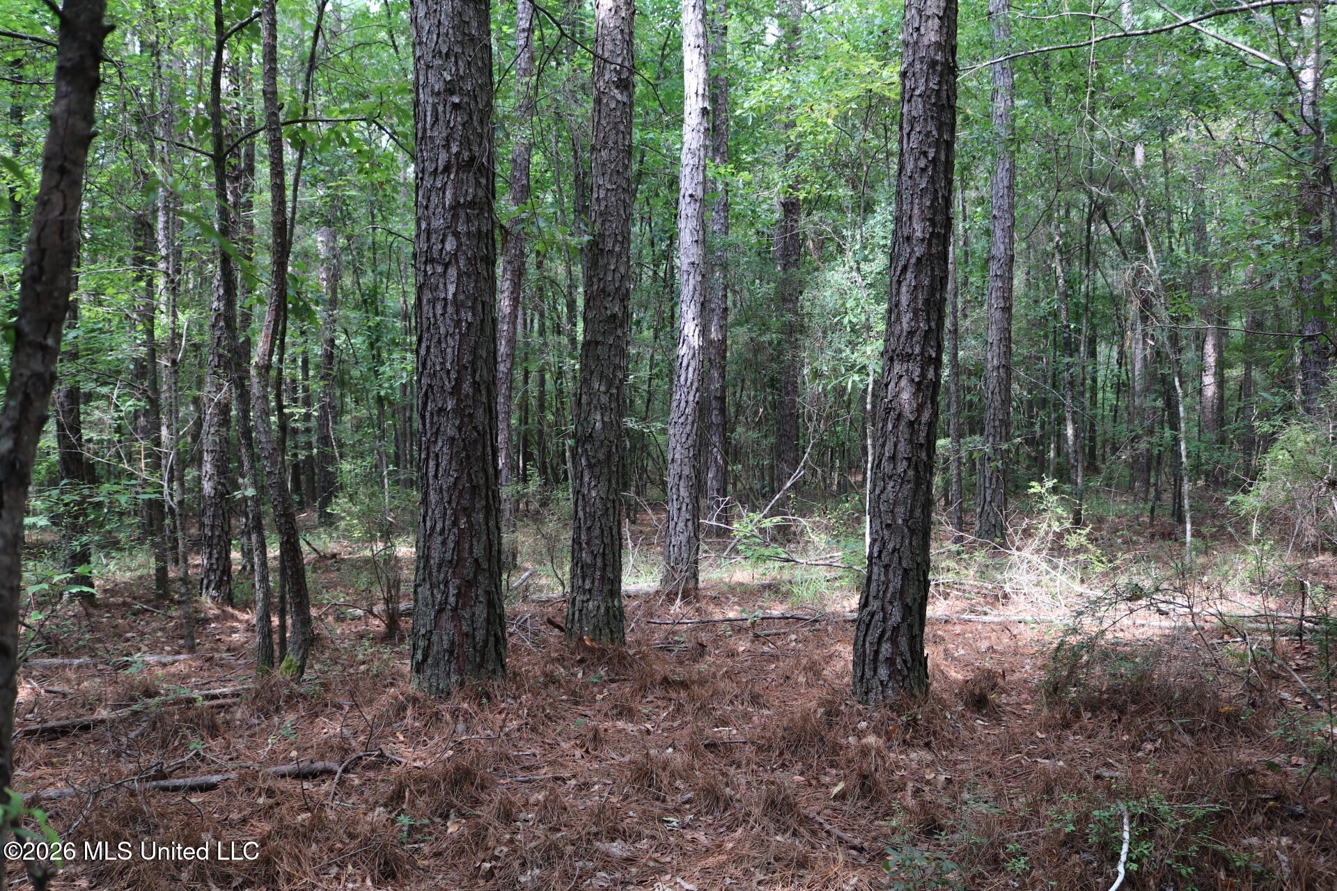 Sulphur Springs Road Property Photo 10