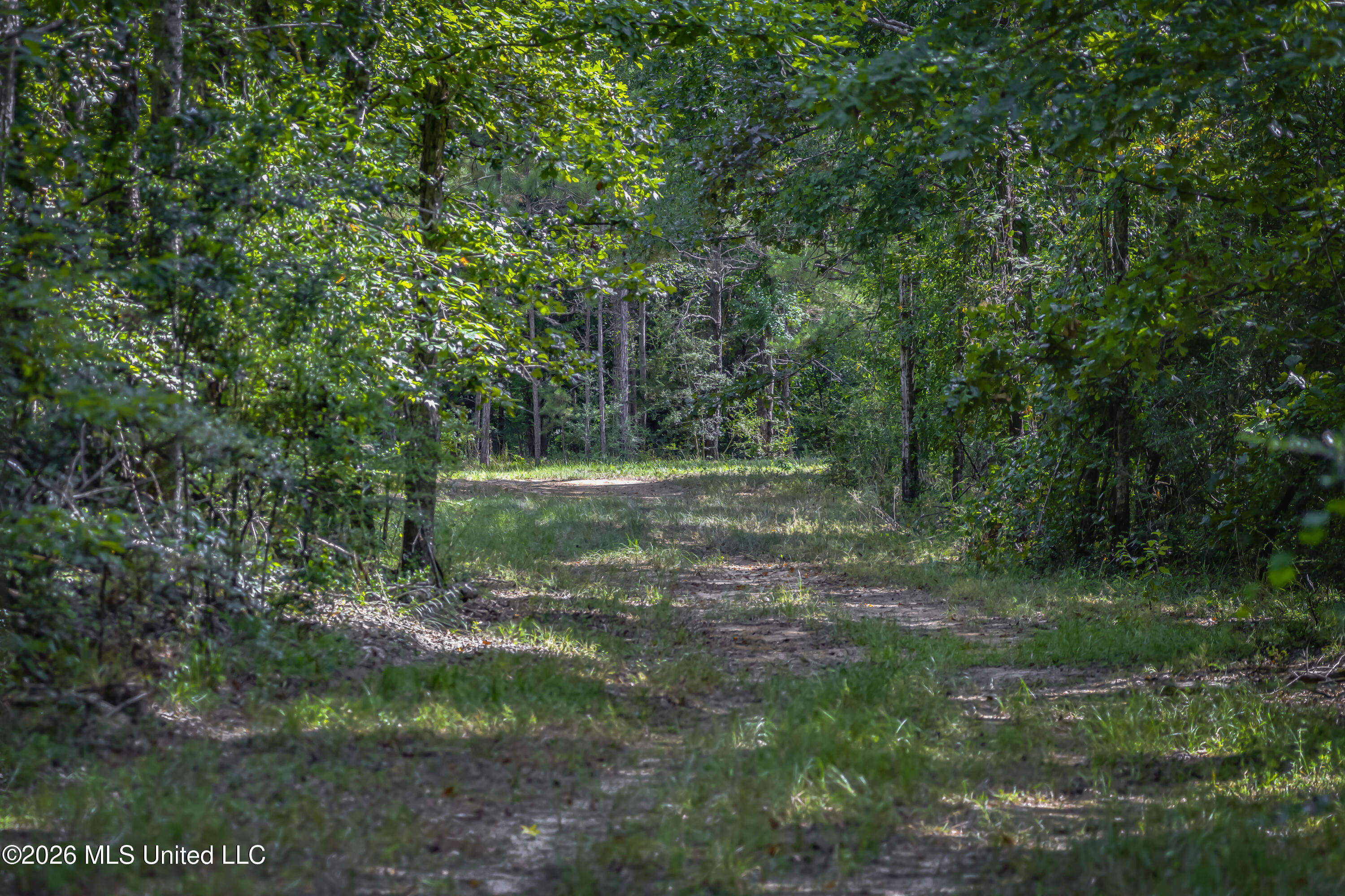S Main Street Property Photo 34