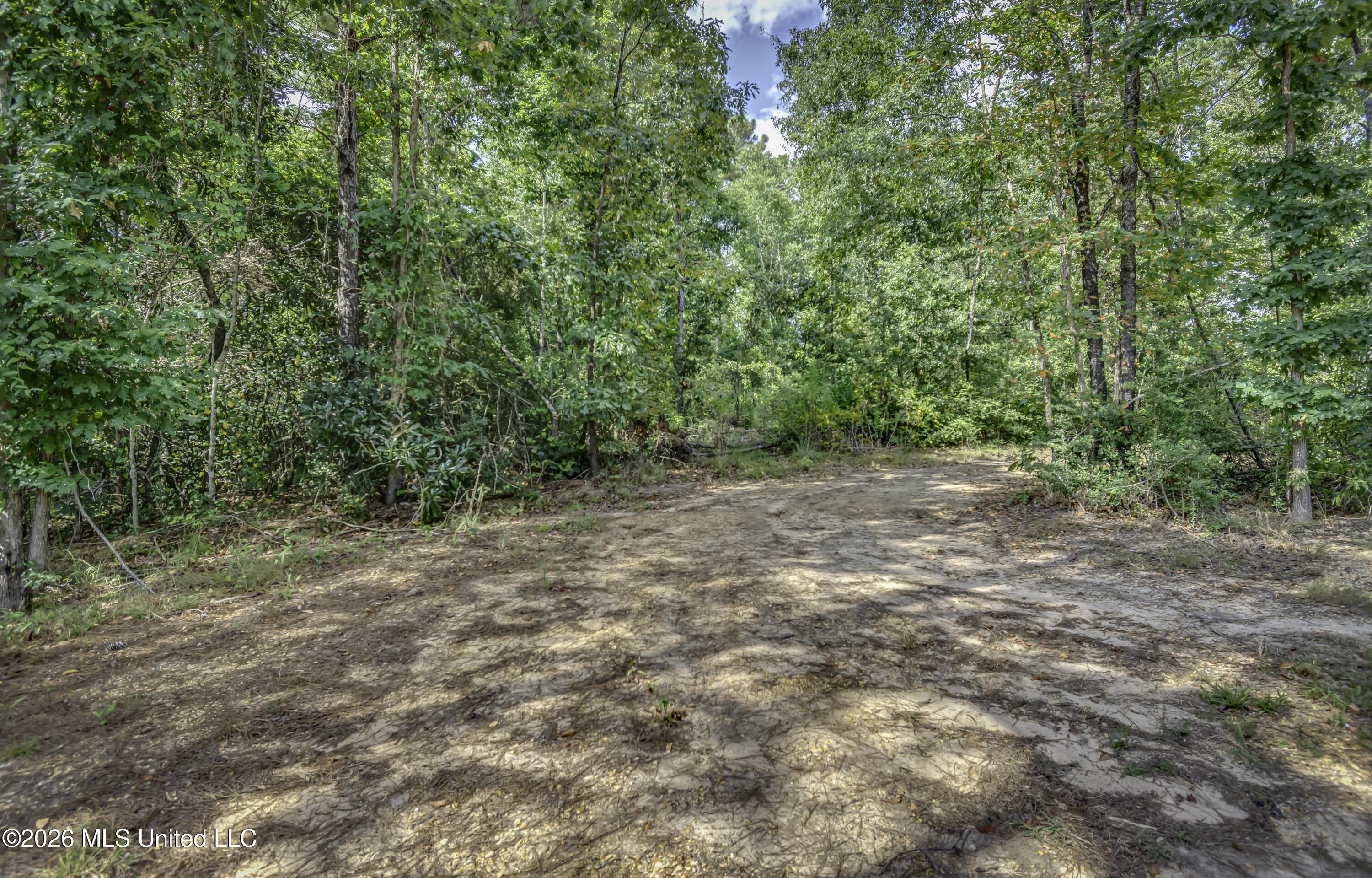 S Main Street Property Photo 37