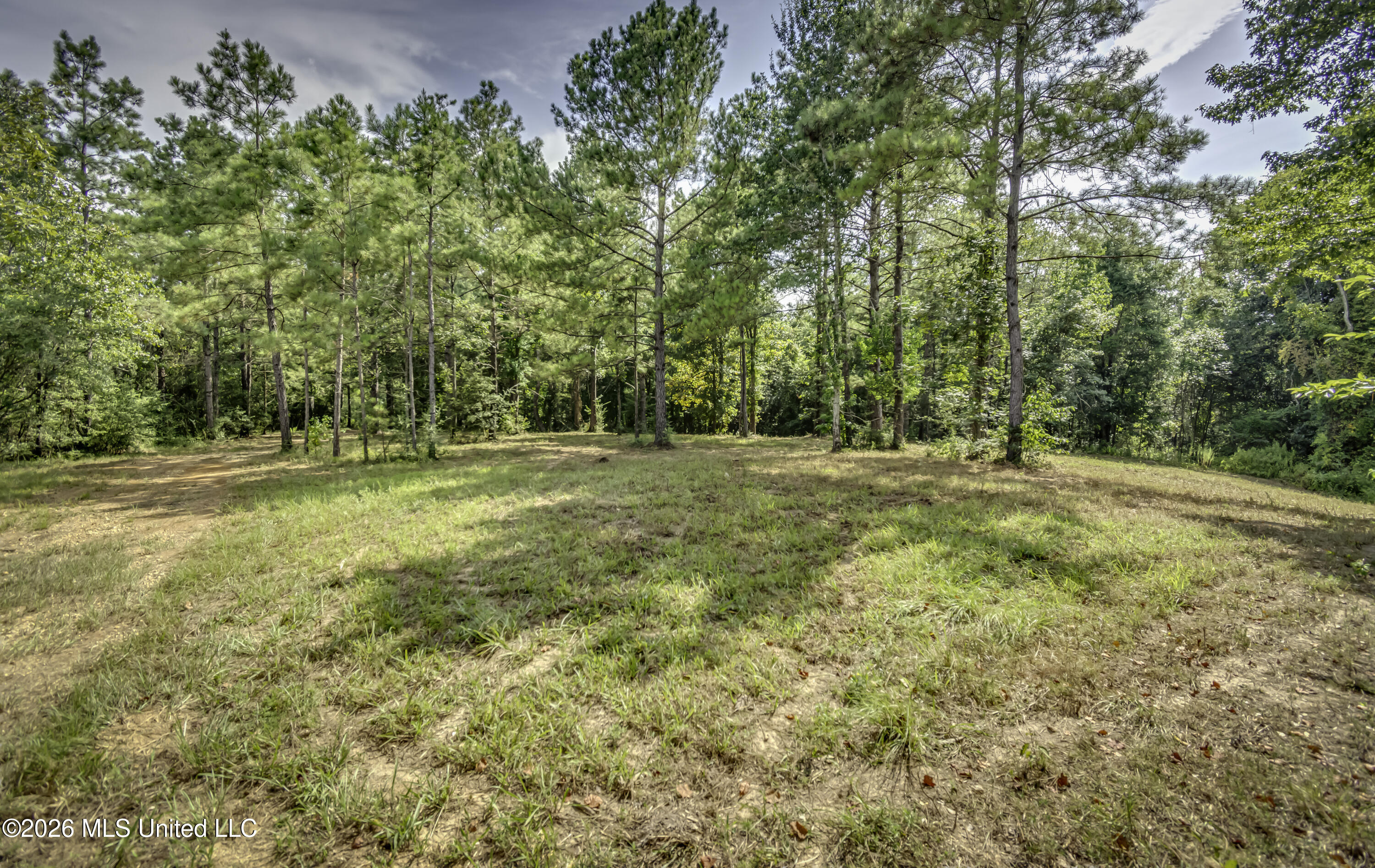 S Main Street Property Photo 38