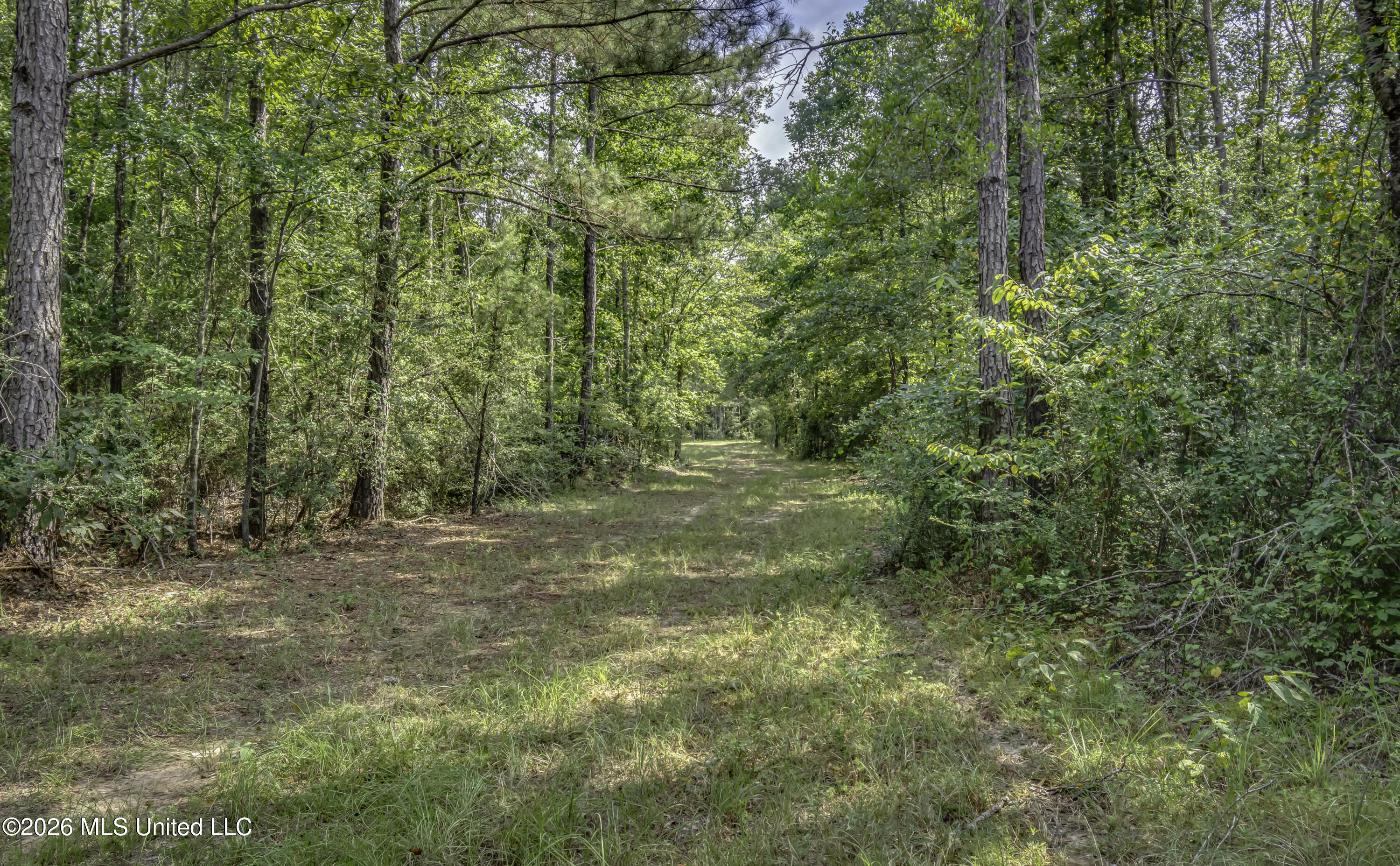 S Main Street Property Photo 41