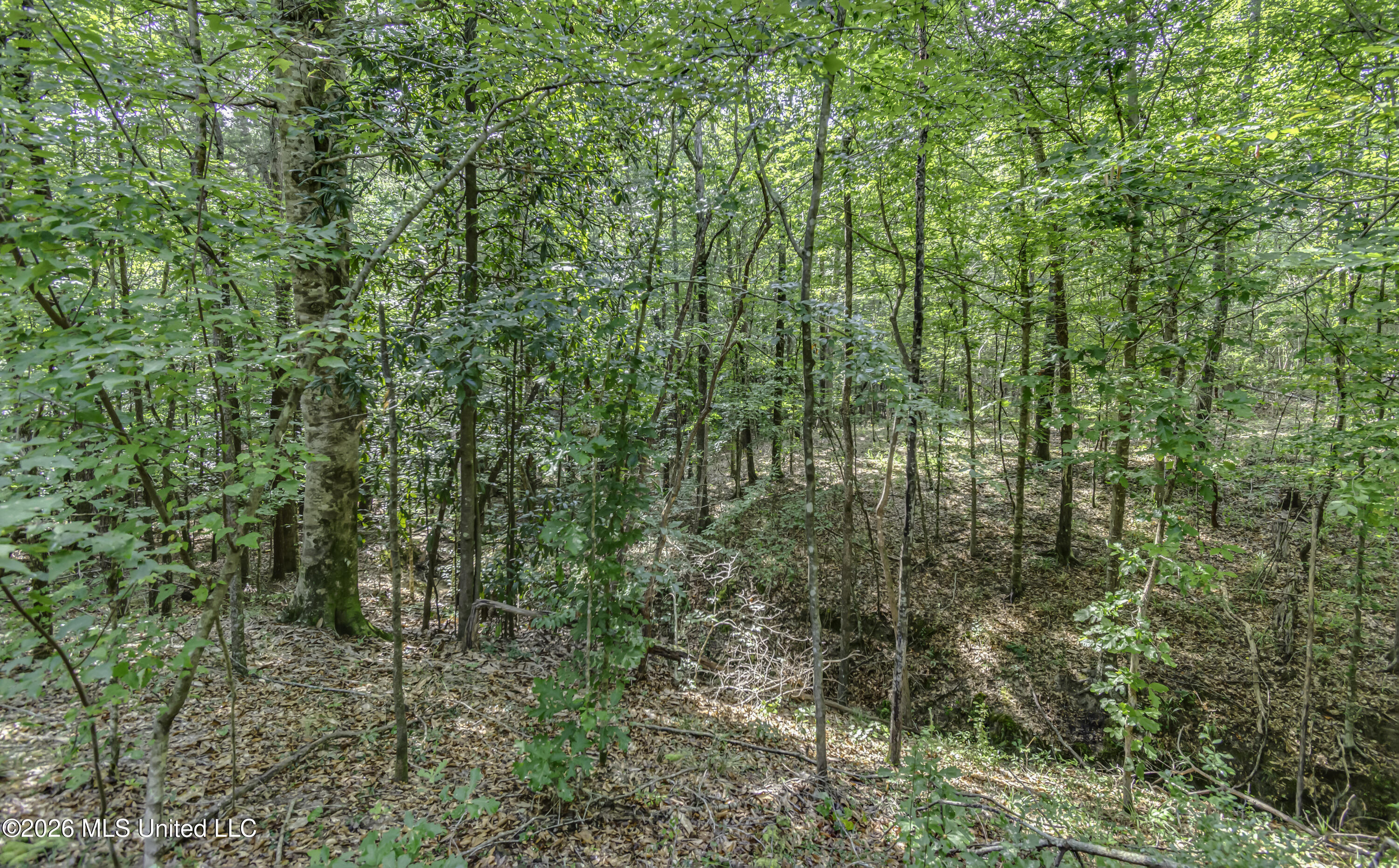 S Main Street Property Photo 46