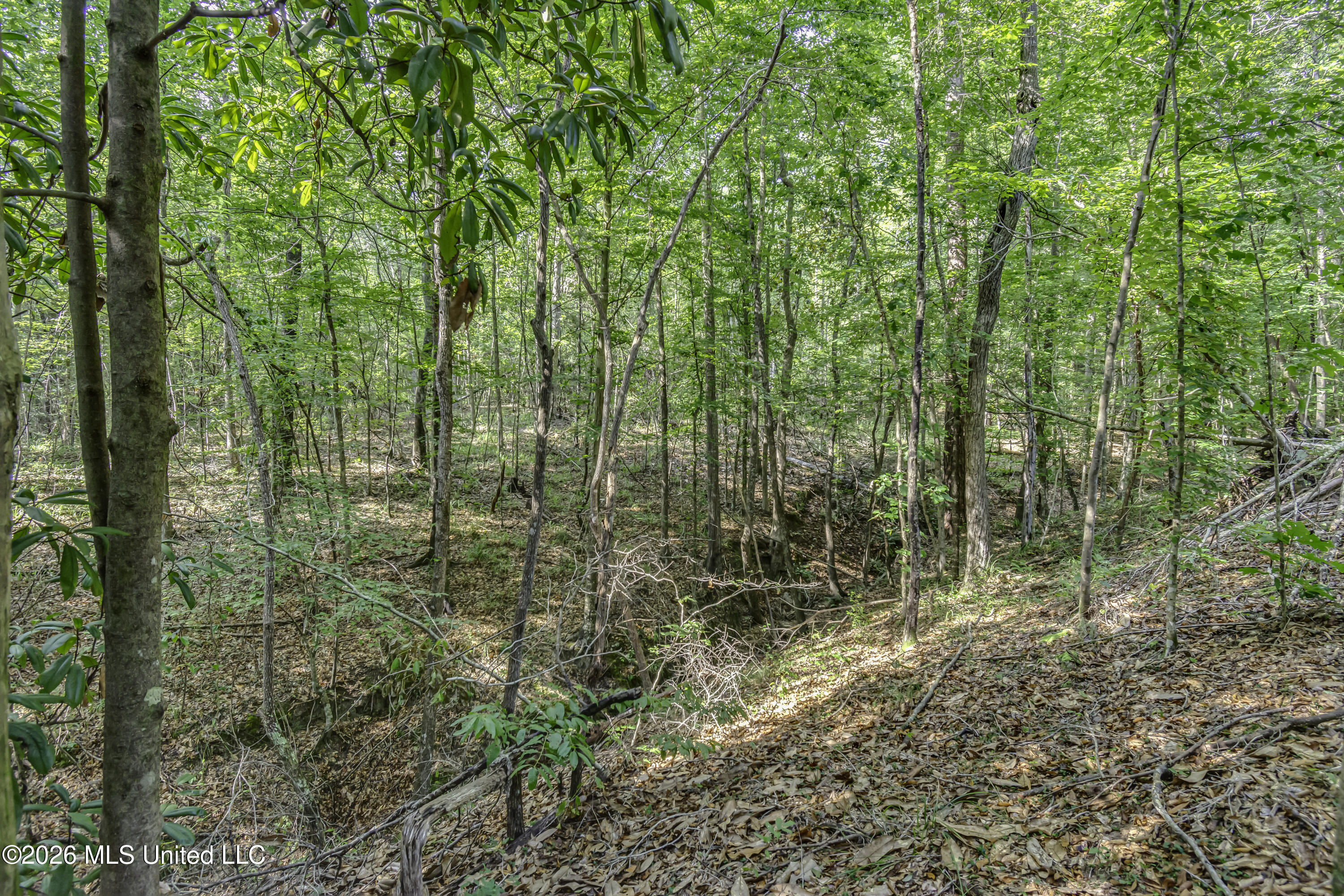 S Main Street Property Photo 48