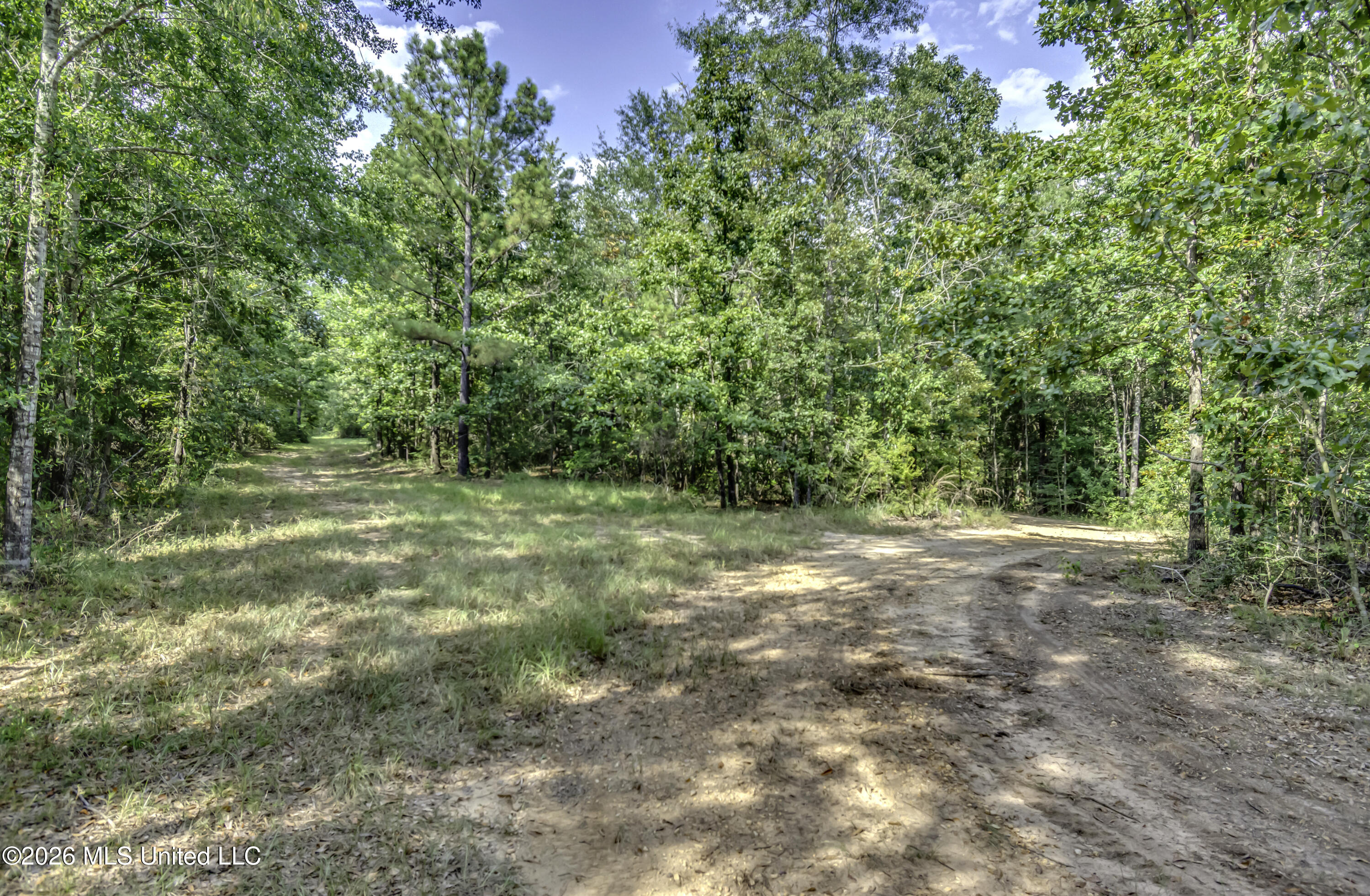 S Main Street Property Photo 49