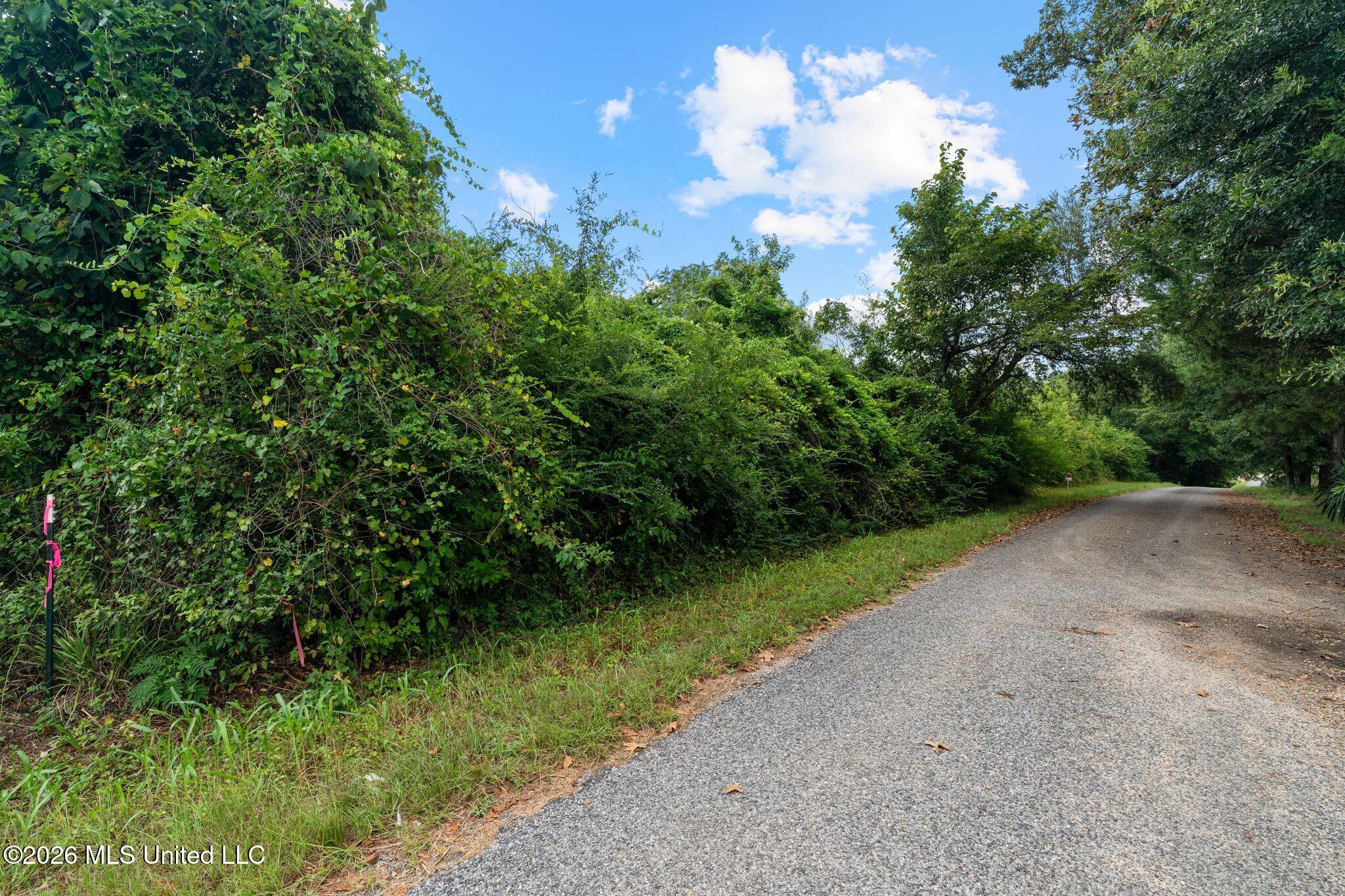 3 Hwy 84 Property Photo 11