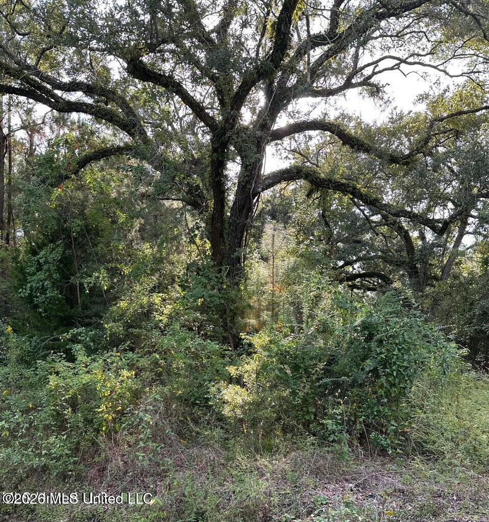 6611 Omaha Street Property Photo 1