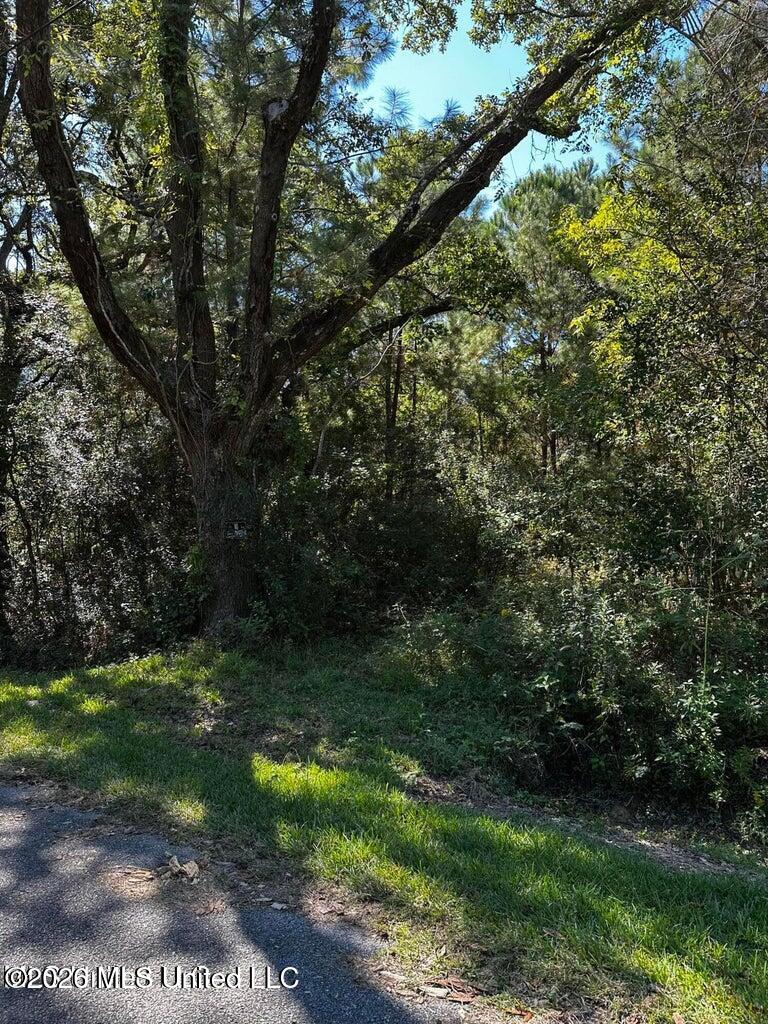 6611 Omaha Street Property Photo 2