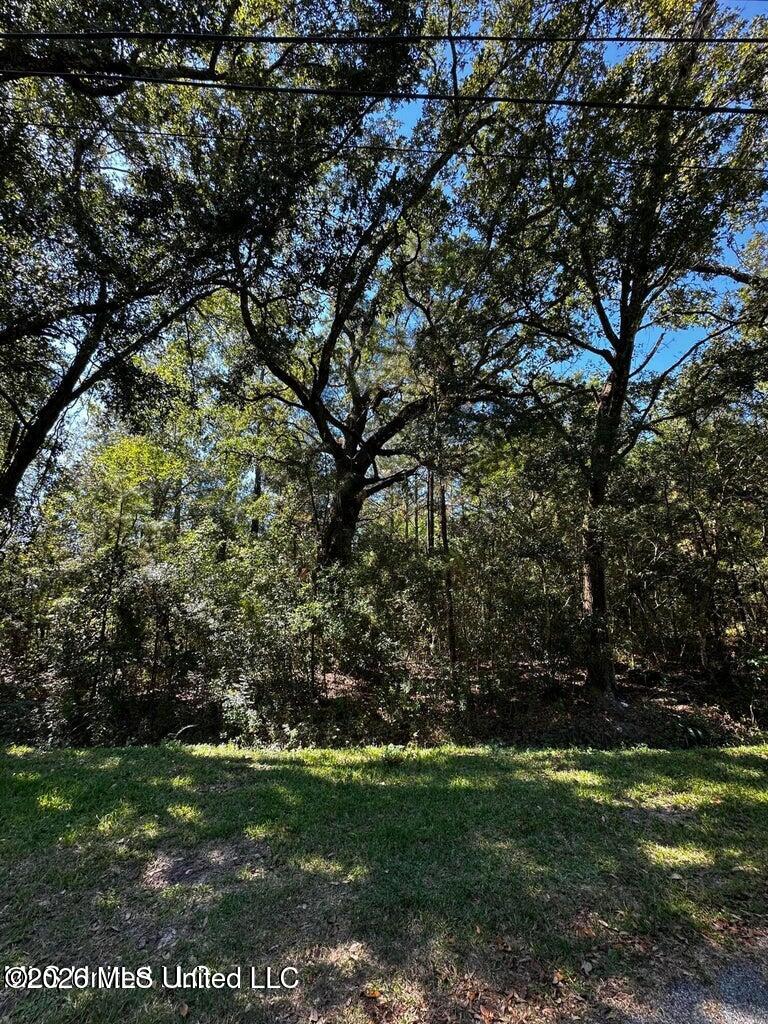 6611 Omaha Street Property Photo 4