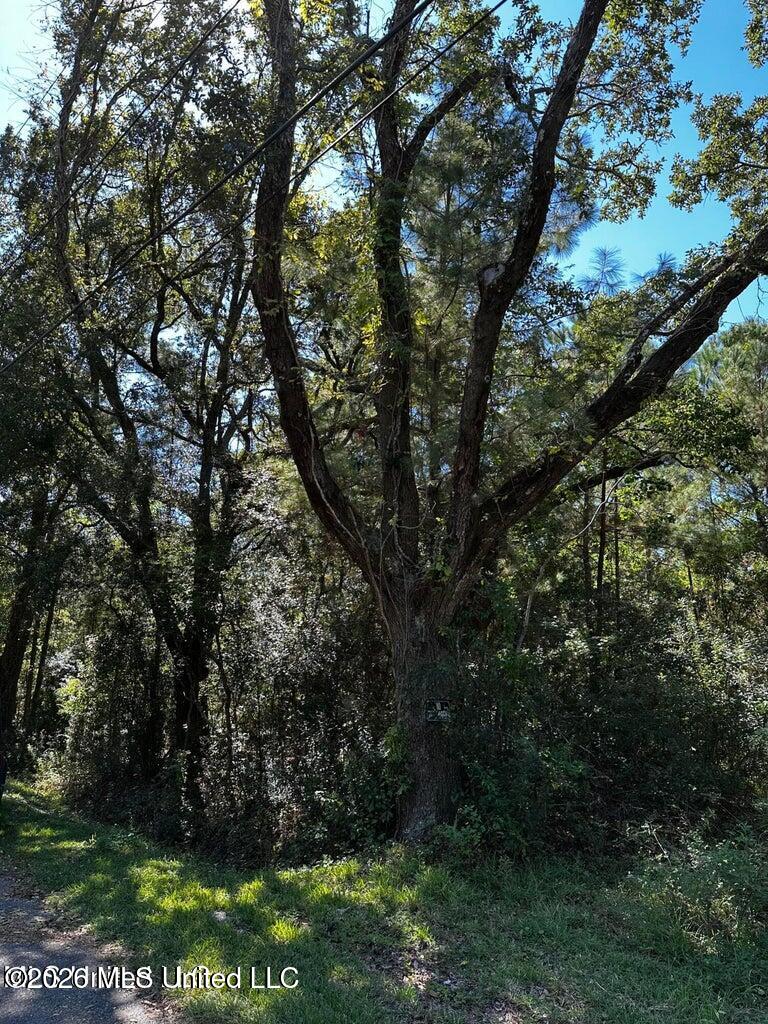 6611 Omaha Street Property Photo 6
