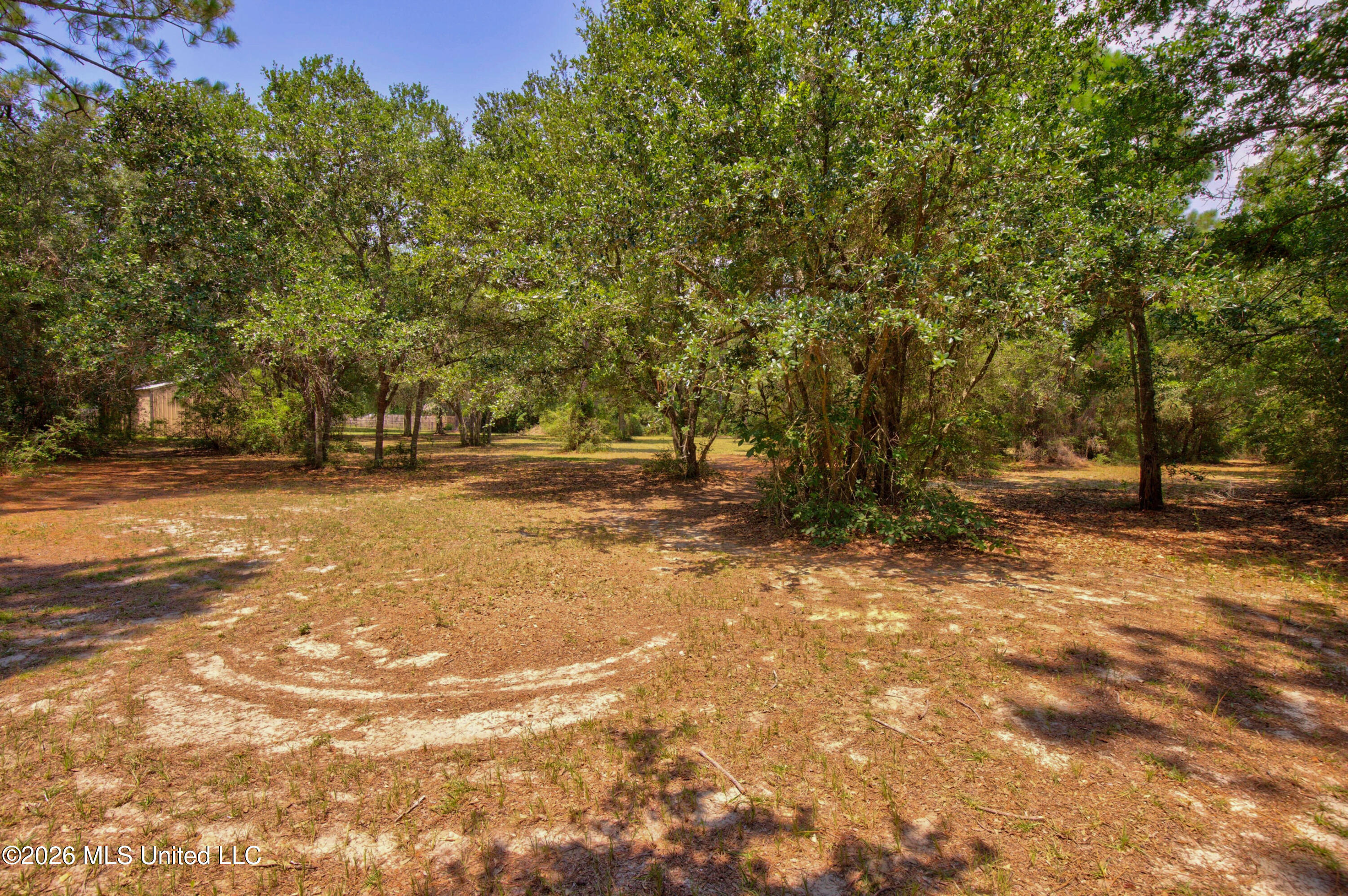 2117 Shelby Lane Property Photo 12