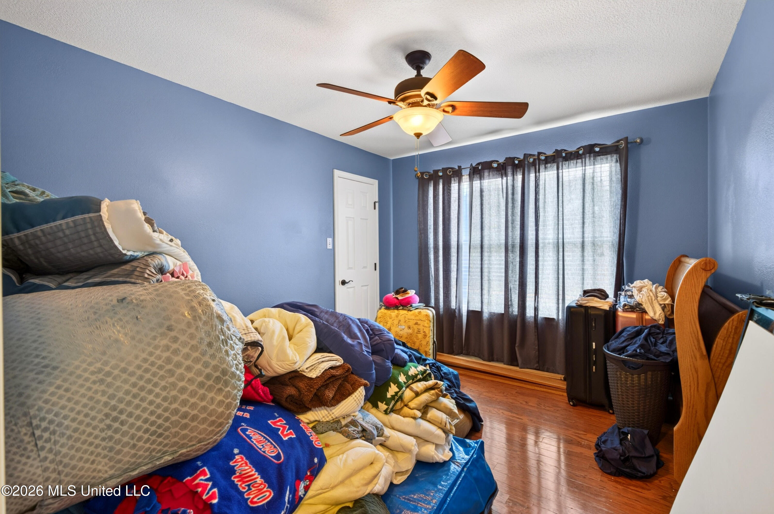 2117 Shelby Lane Property Photo 49