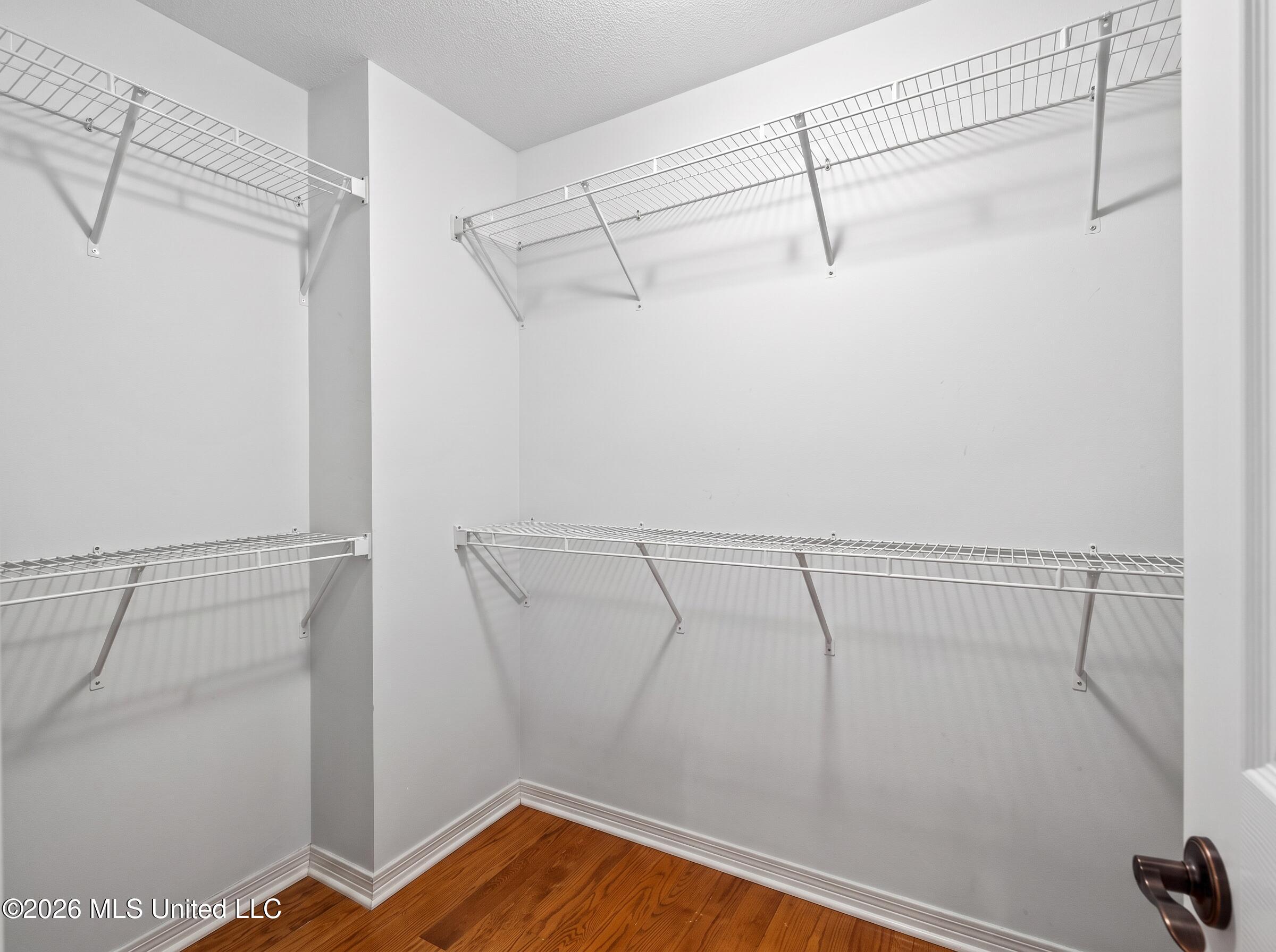 2117 Shelby Lane Property Photo 53
