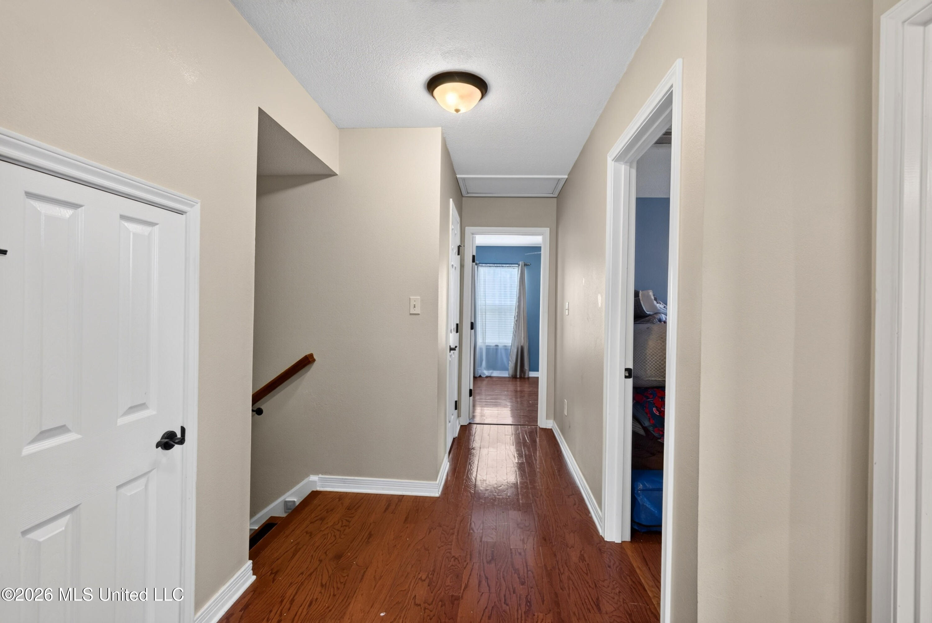 2117 Shelby Lane Property Photo 56