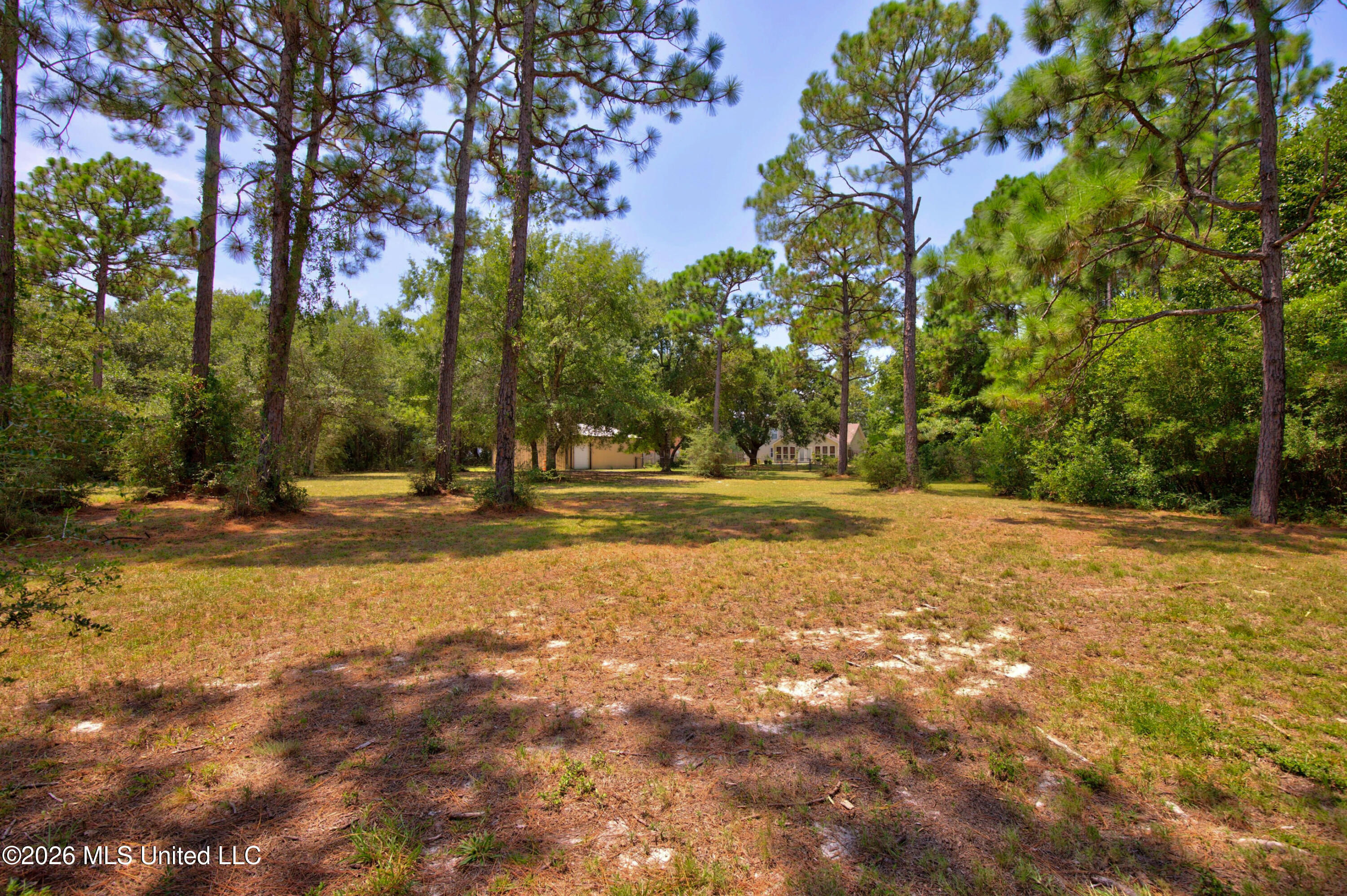 2117 Shelby Lane Property Photo 66