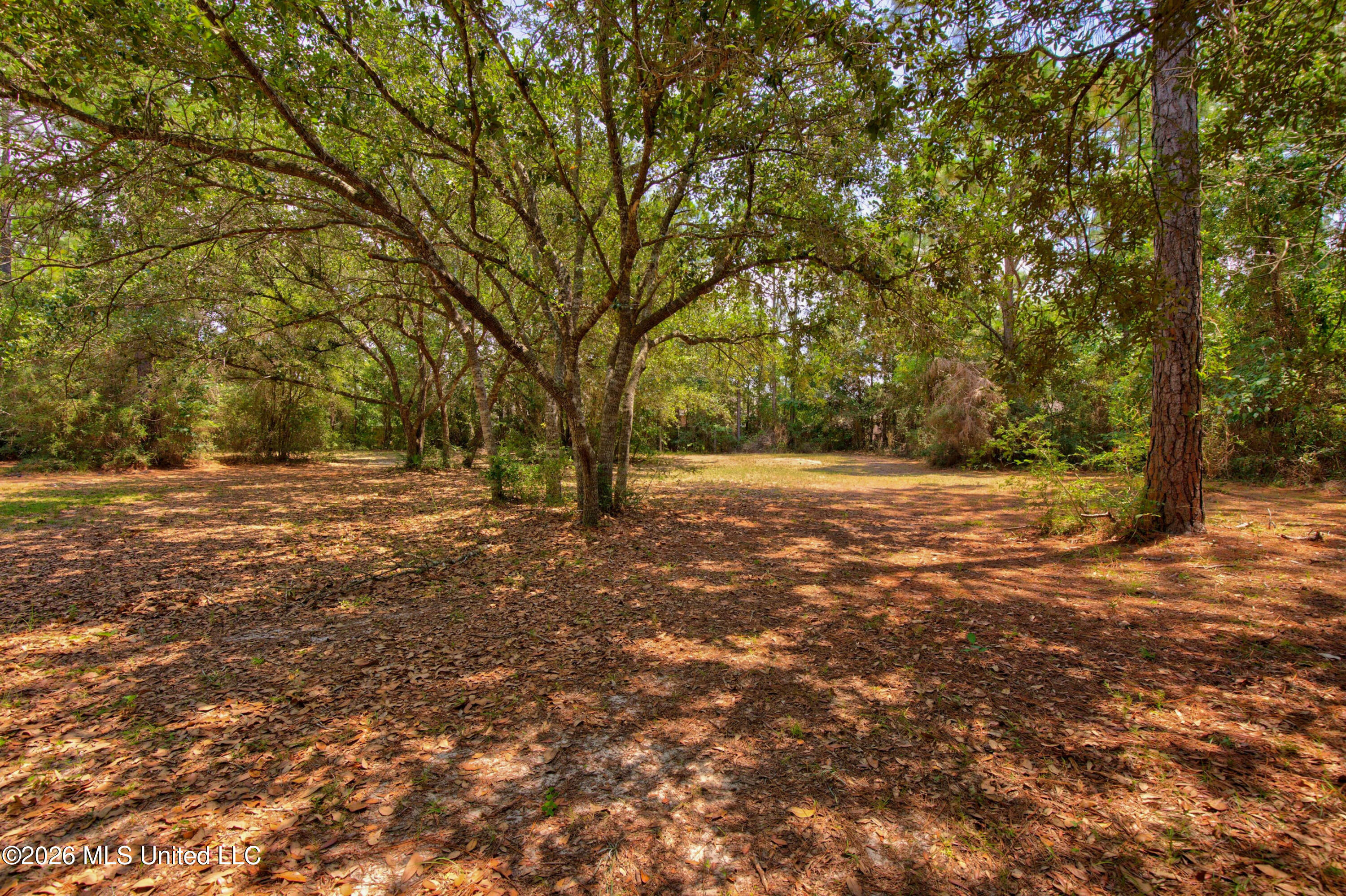 2117 Shelby Lane Property Photo 67