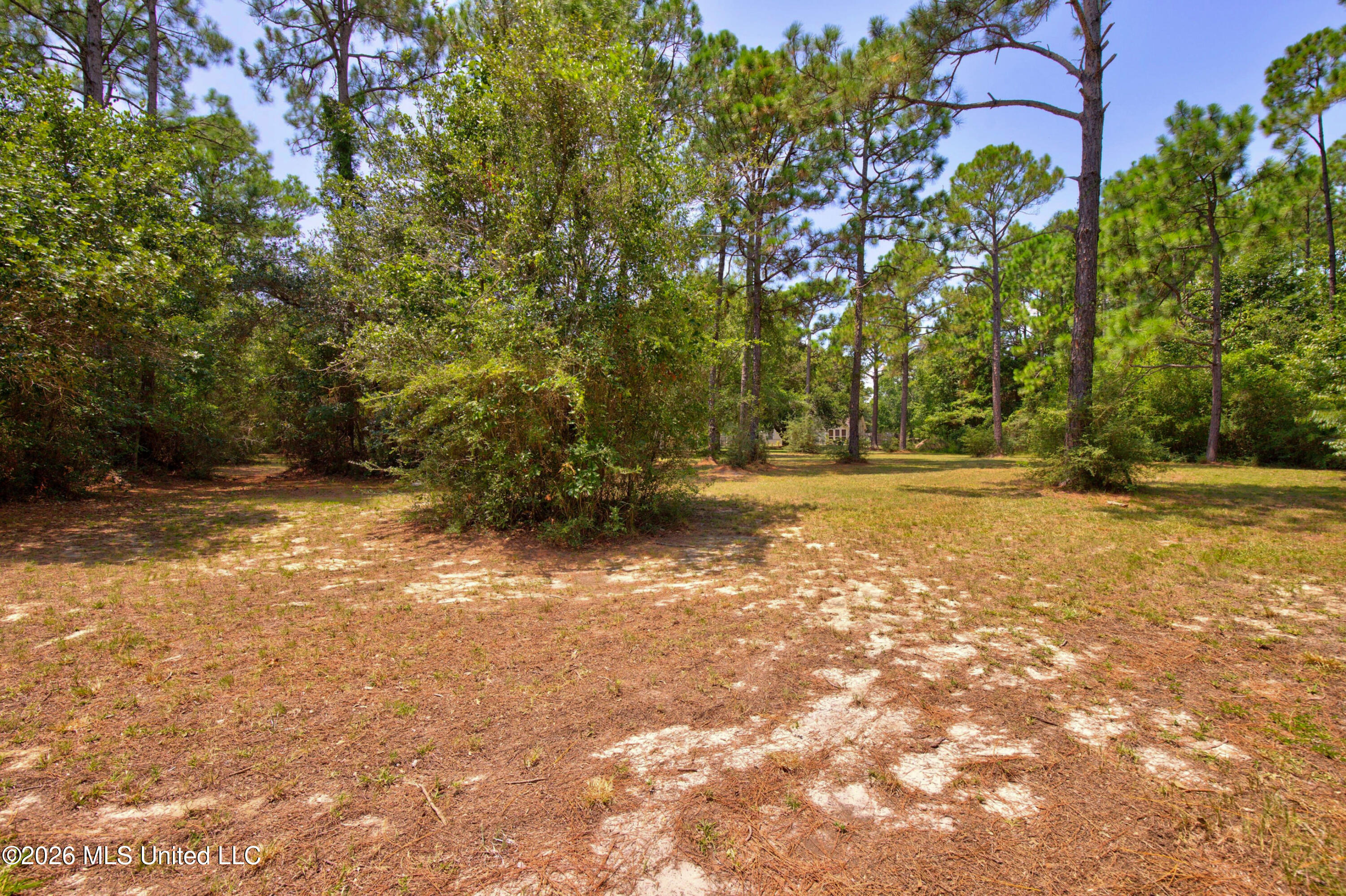 2117 Shelby Lane Property Photo 68