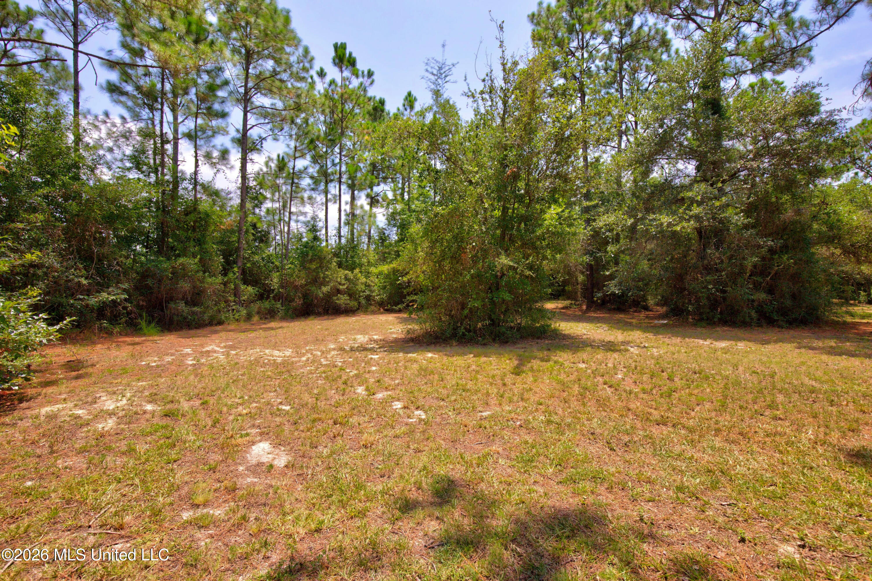 2117 Shelby Lane Property Photo 69