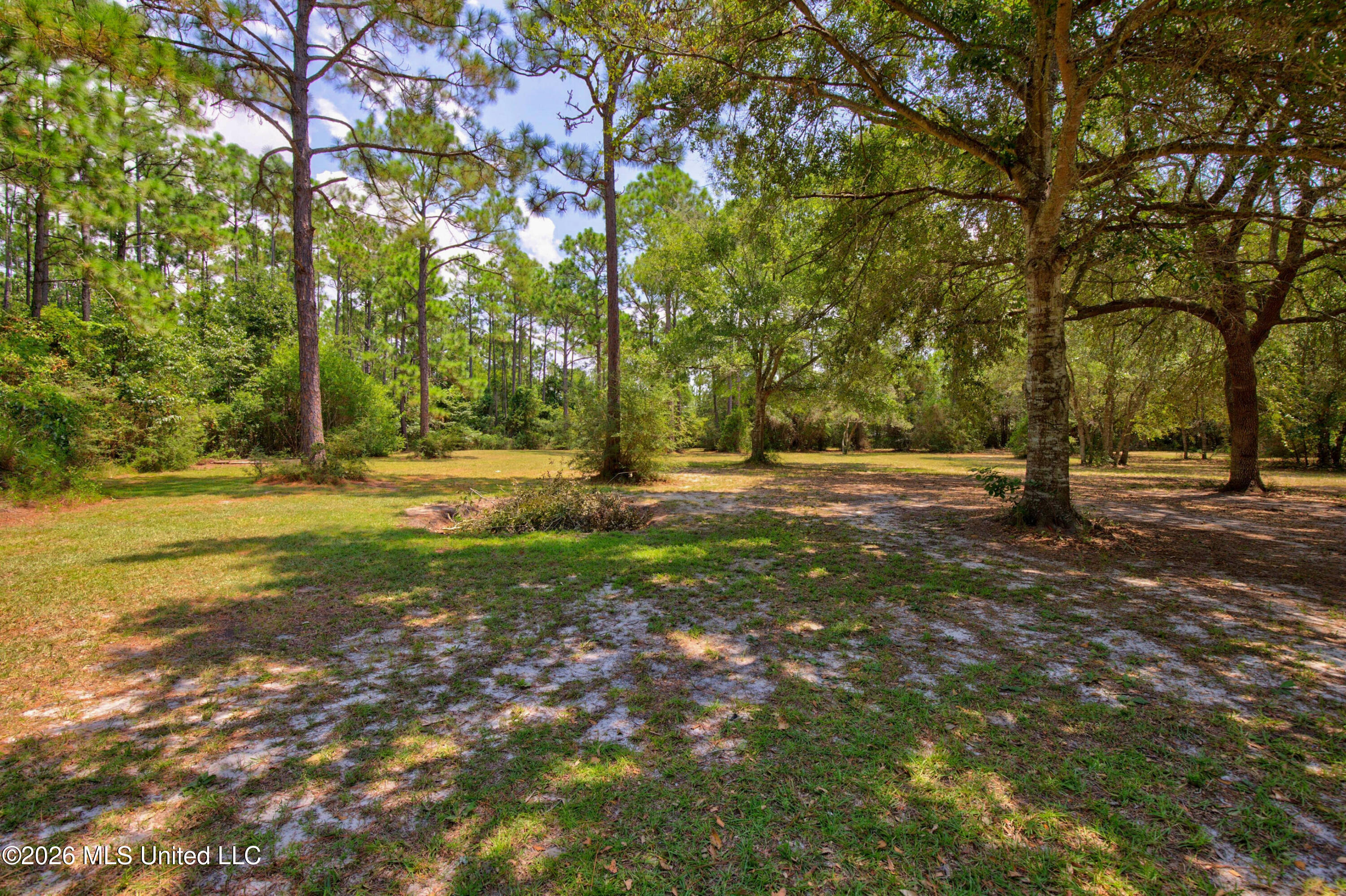 2117 Shelby Lane Property Photo 71
