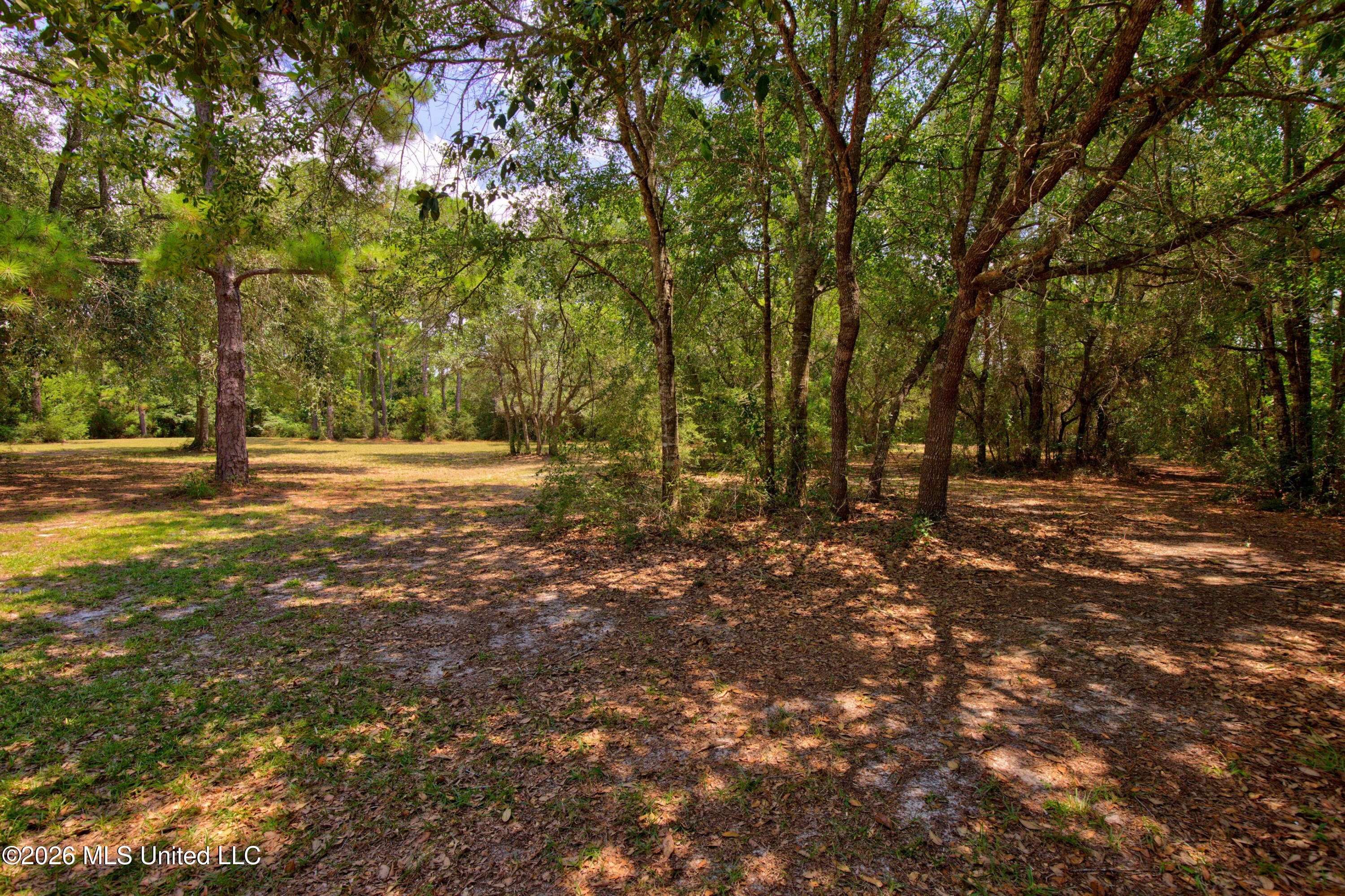 2117 Shelby Lane Property Photo 72