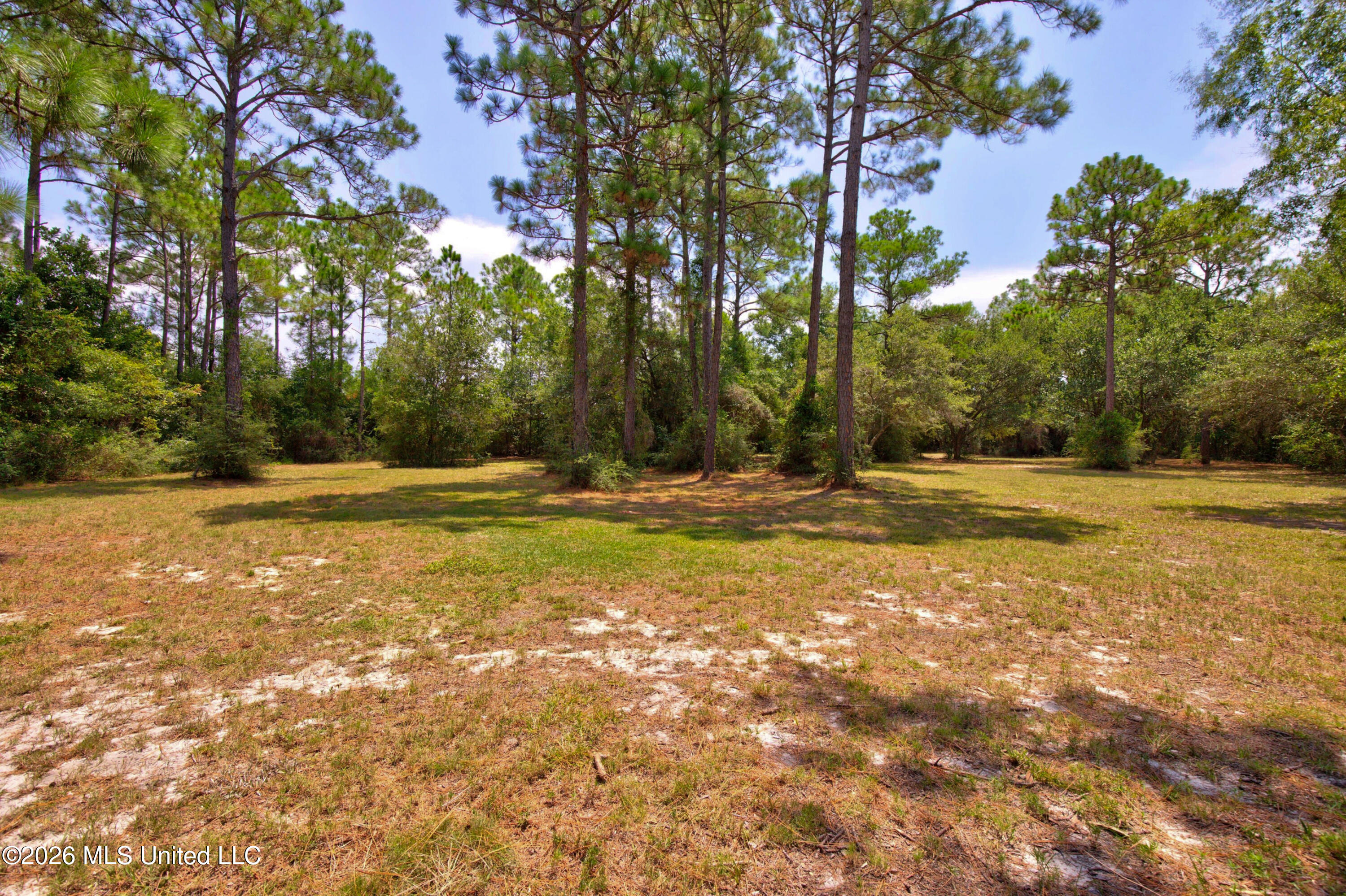 2117 Shelby Lane Property Photo 73