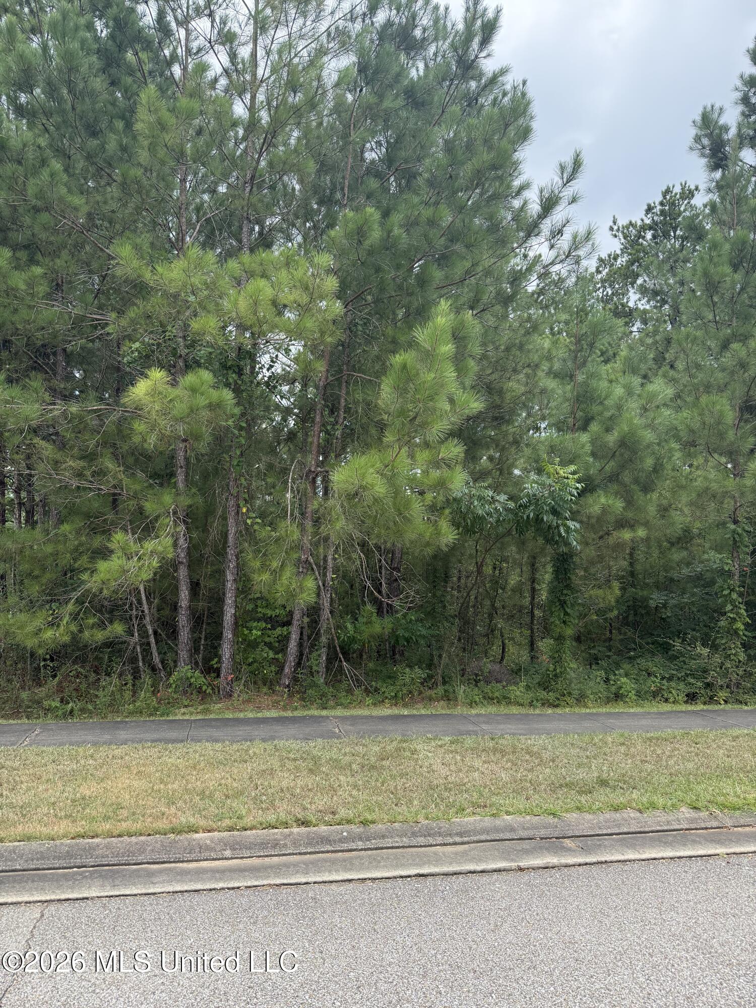 42 S Of Property Photo 1