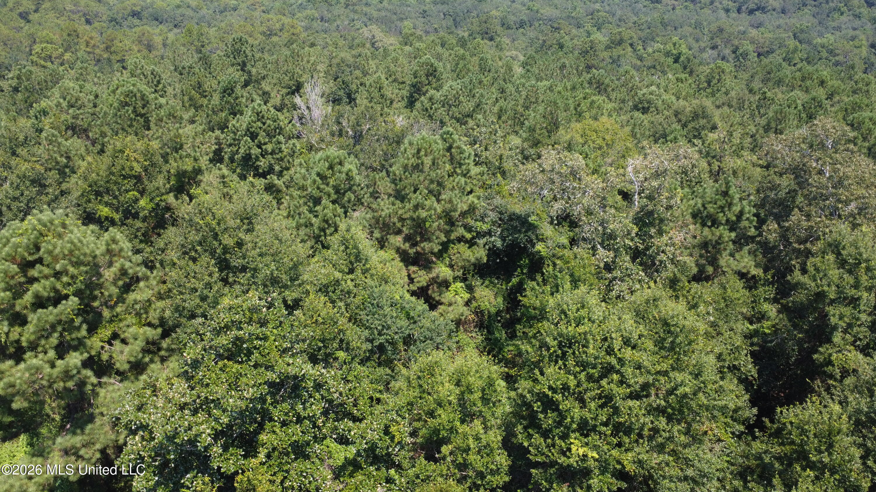 31052 Pearson Cemetary Road Property Photo 1