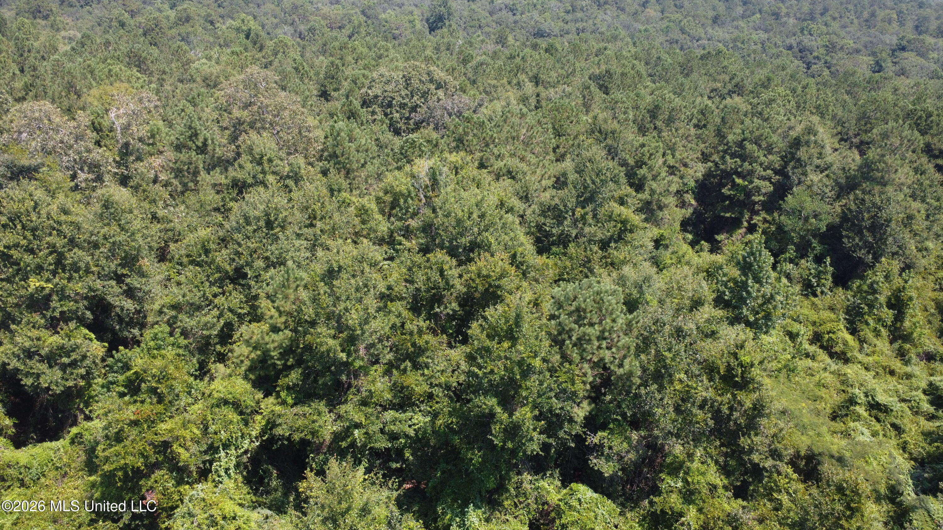 31052 Pearson Cemetary Road Property Photo 3