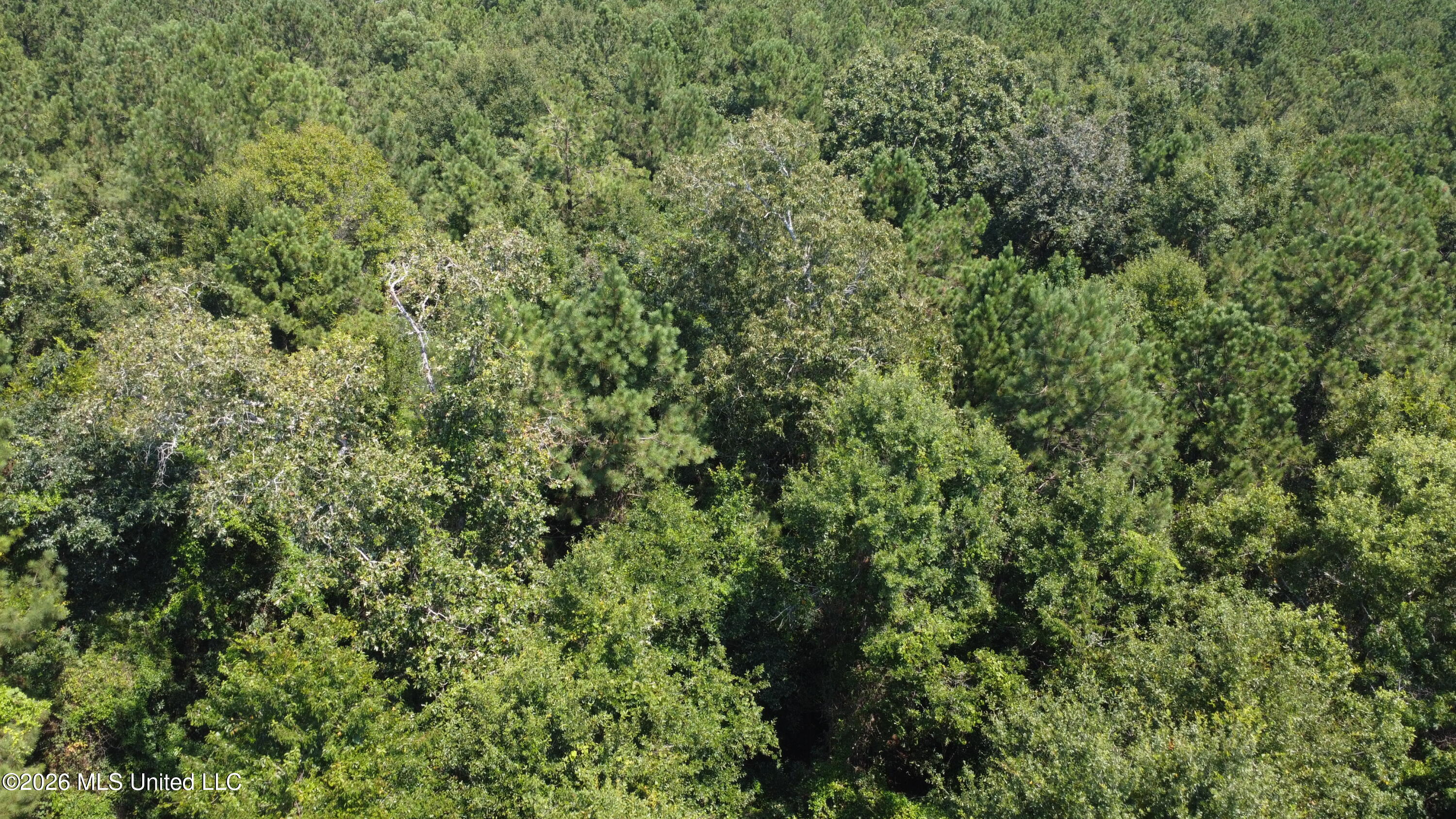 31052 Pearson Cemetary Road Property Photo 4