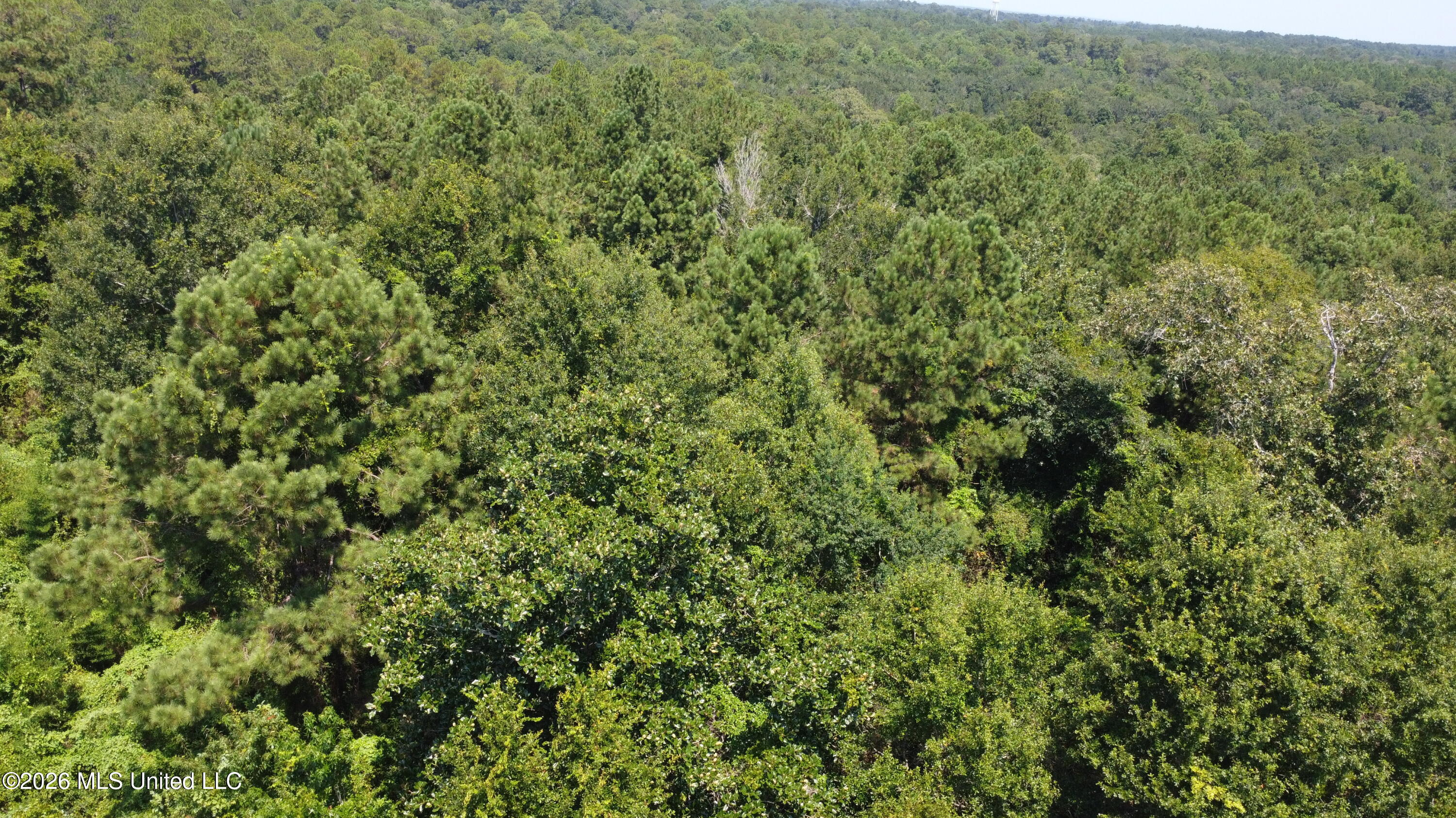 31052 Pearson Cemetary Road Property Photo 11