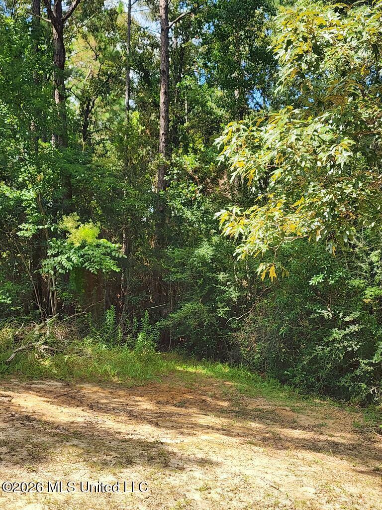 16509 B Mcgregor Road Property Photo 1