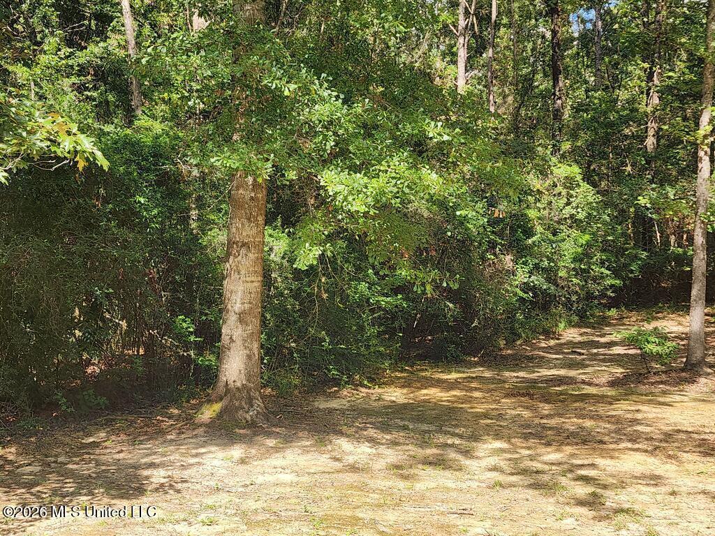 16509 B Mcgregor Road Property Photo 2
