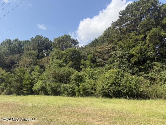 7.1 Acres U S Highway 49 Property Photo 2