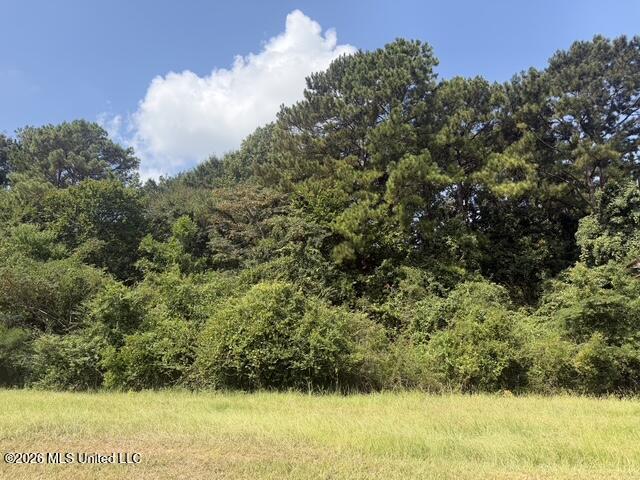 7.1 Acres U S Highway 49 Property Photo 3