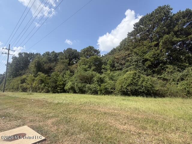 7.1 Acres U S Highway 49 Property Photo 5
