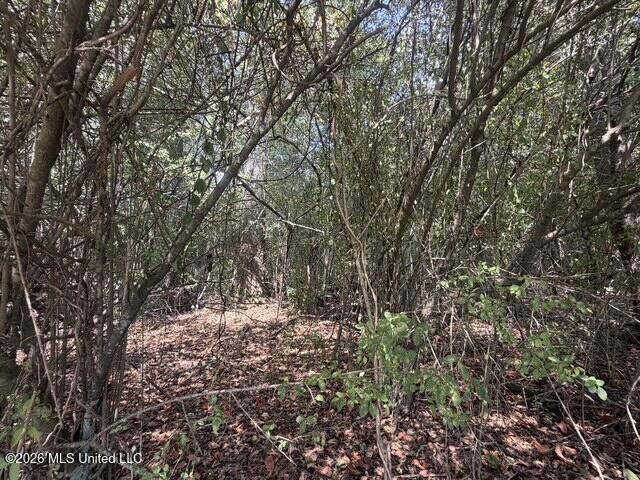 7.1 Acres U S Highway 49 Property Photo 12