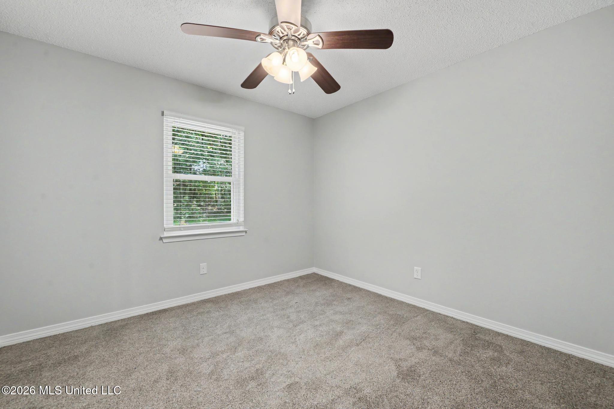 15509 Lyda Steen Drive Property Photo 15