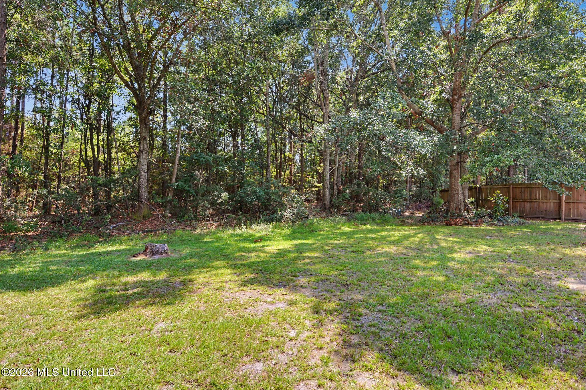 15509 Lyda Steen Drive Property Photo 19