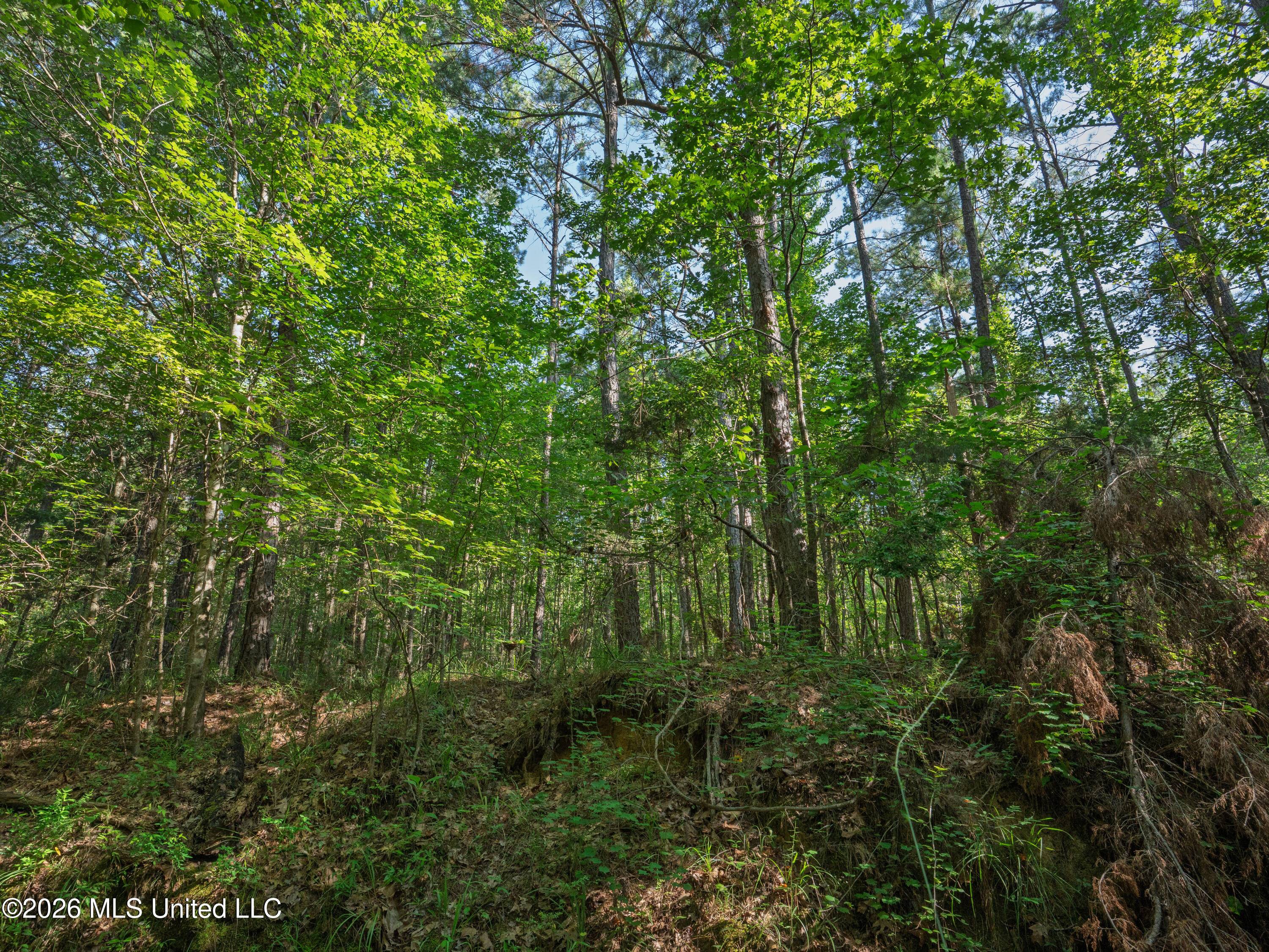 Mississippi 12 Property Photo 8