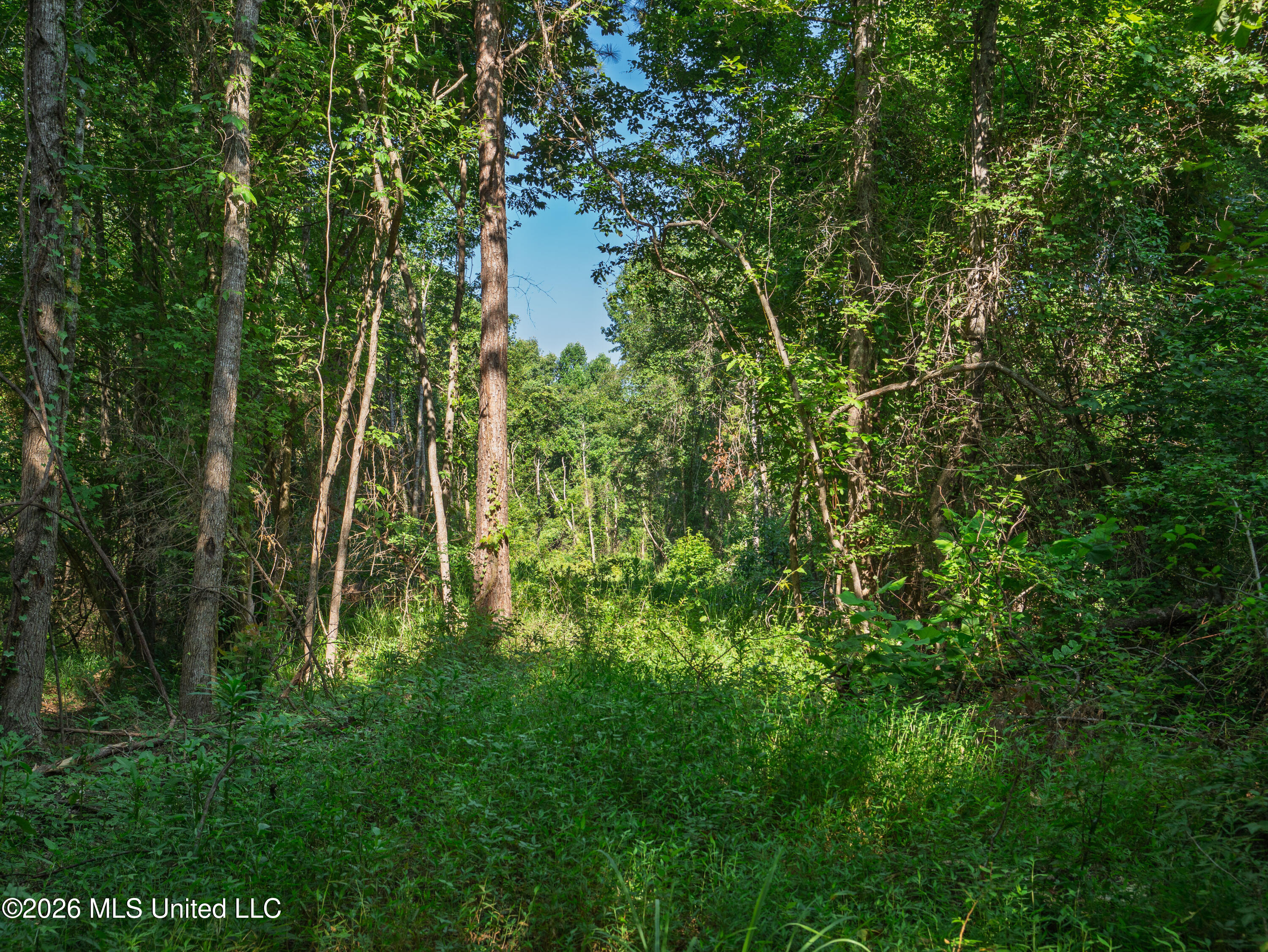 Mississippi 12 Property Photo 10