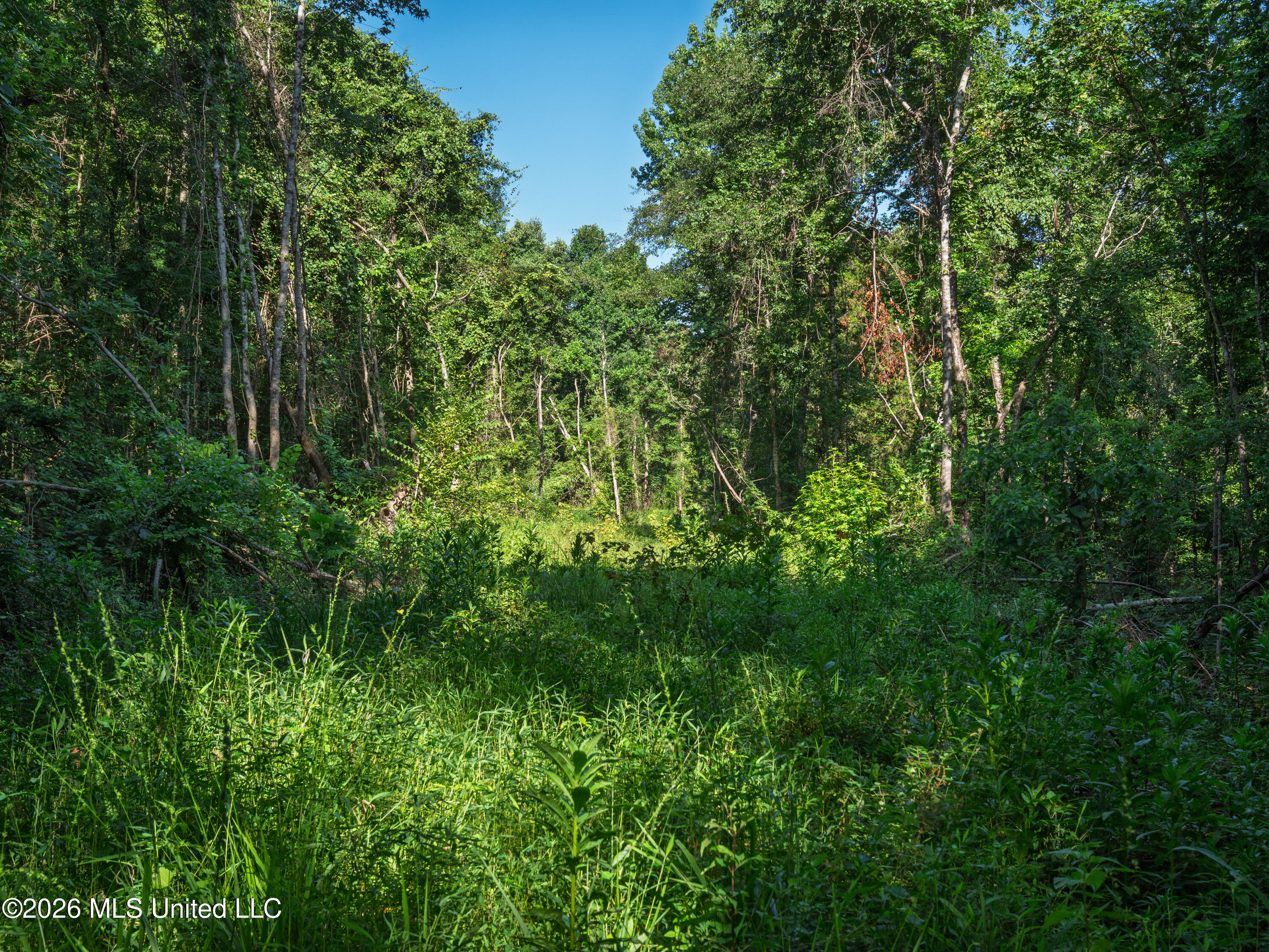 Mississippi 12 Property Photo 12