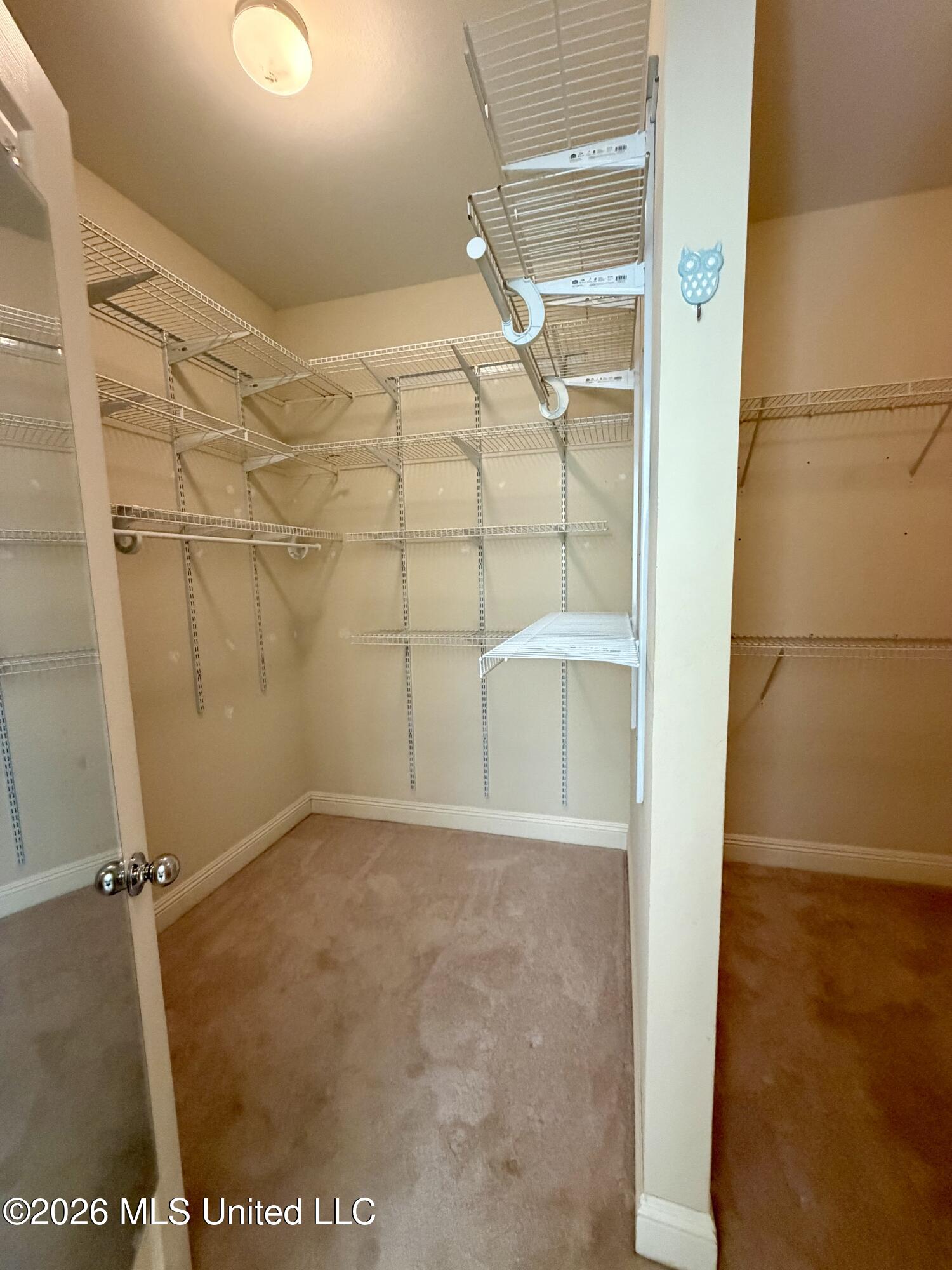 7716 Clamshell Avenue Property Photo 44