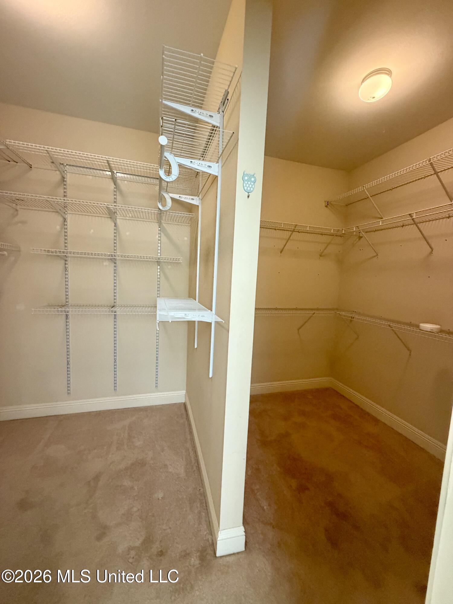 7716 Clamshell Avenue Property Photo 45
